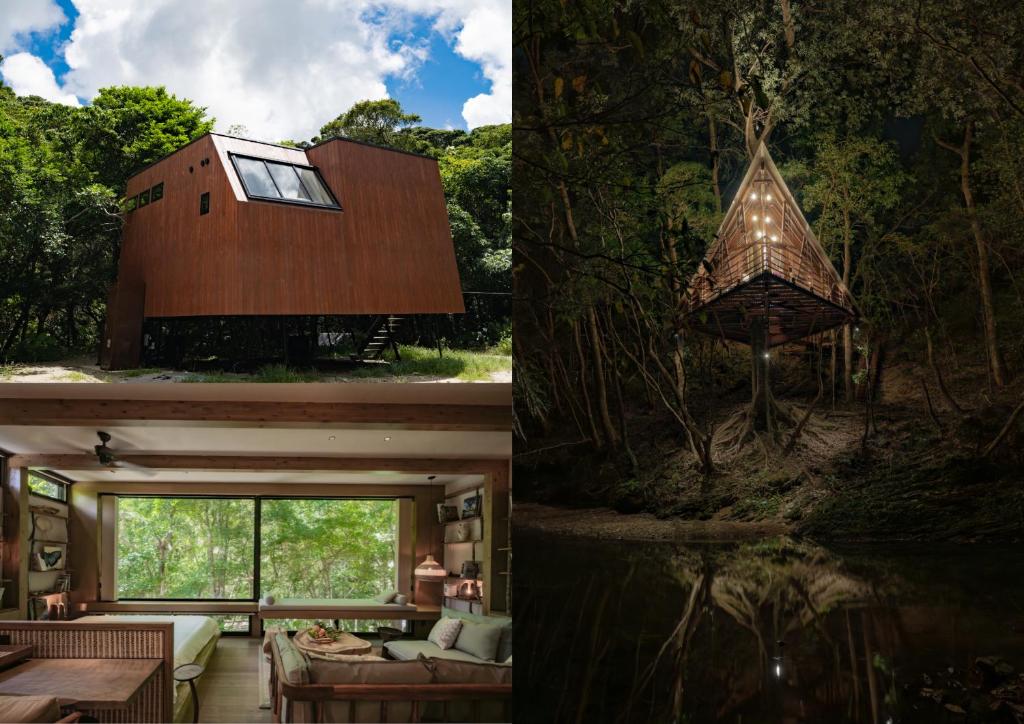 ハルシオンセット