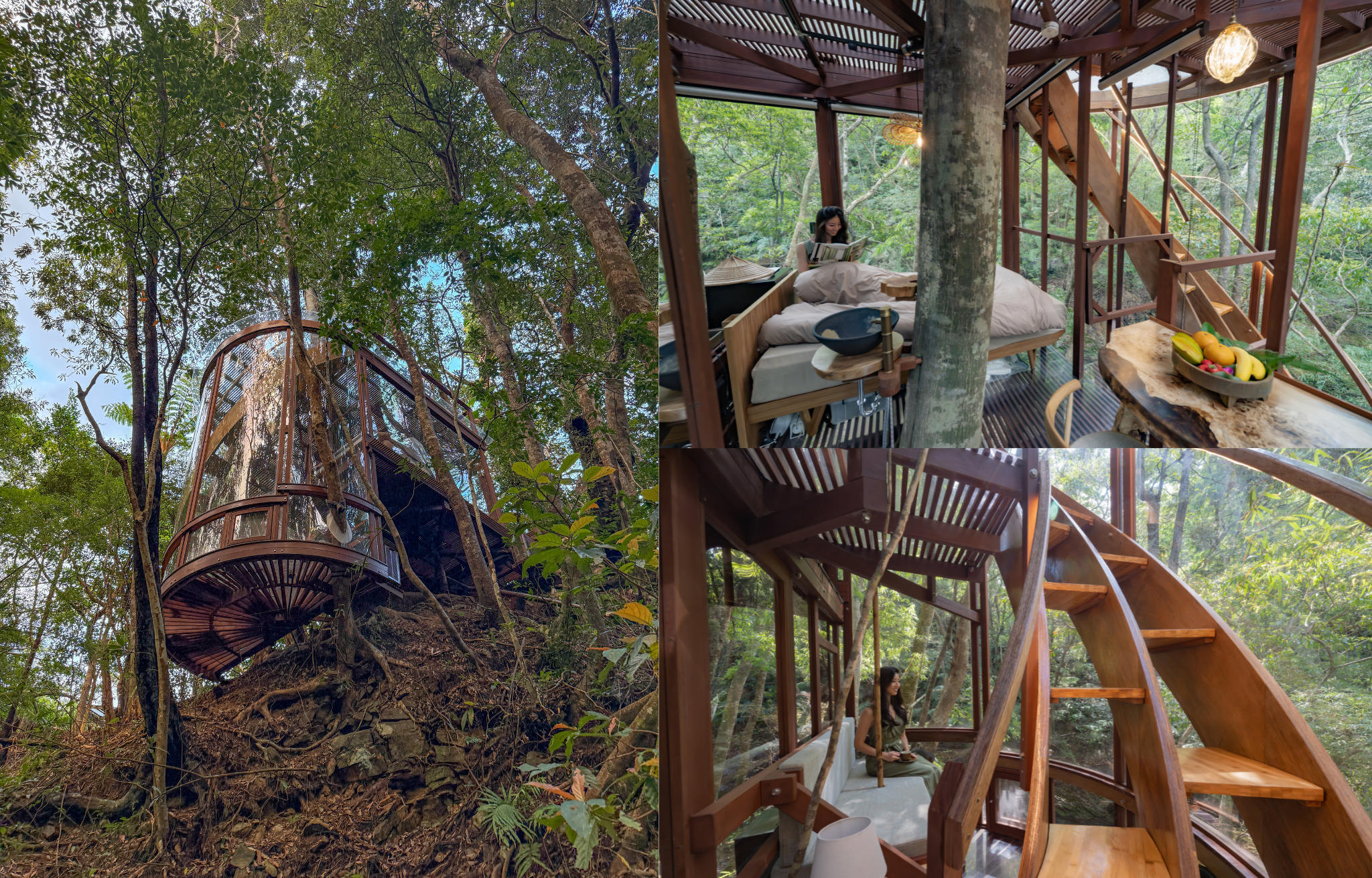 バンブーツリーハウスプラン