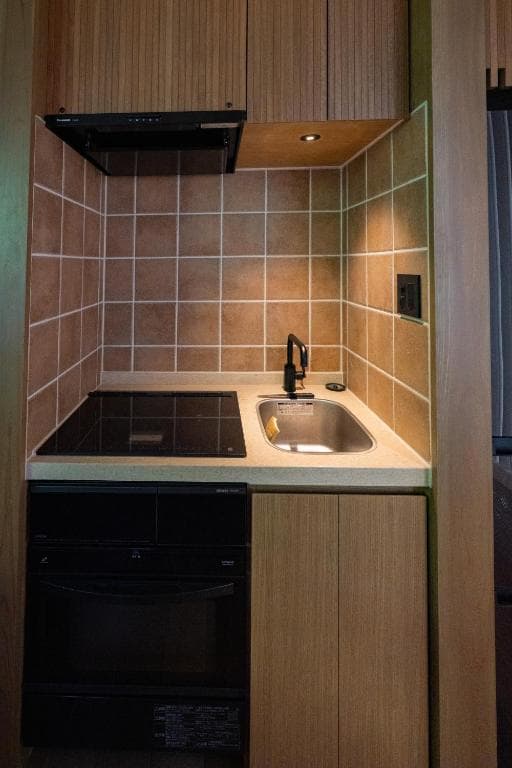 エアロハウス2号キッチン