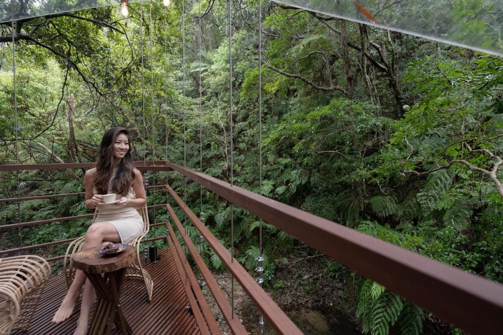 ハルシオンテラス