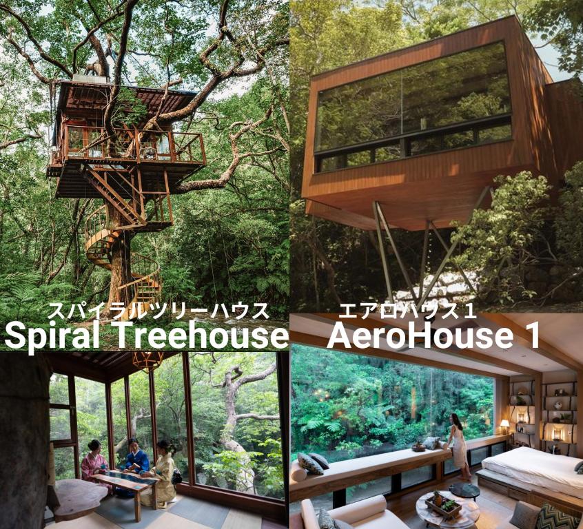 スパイラルセット