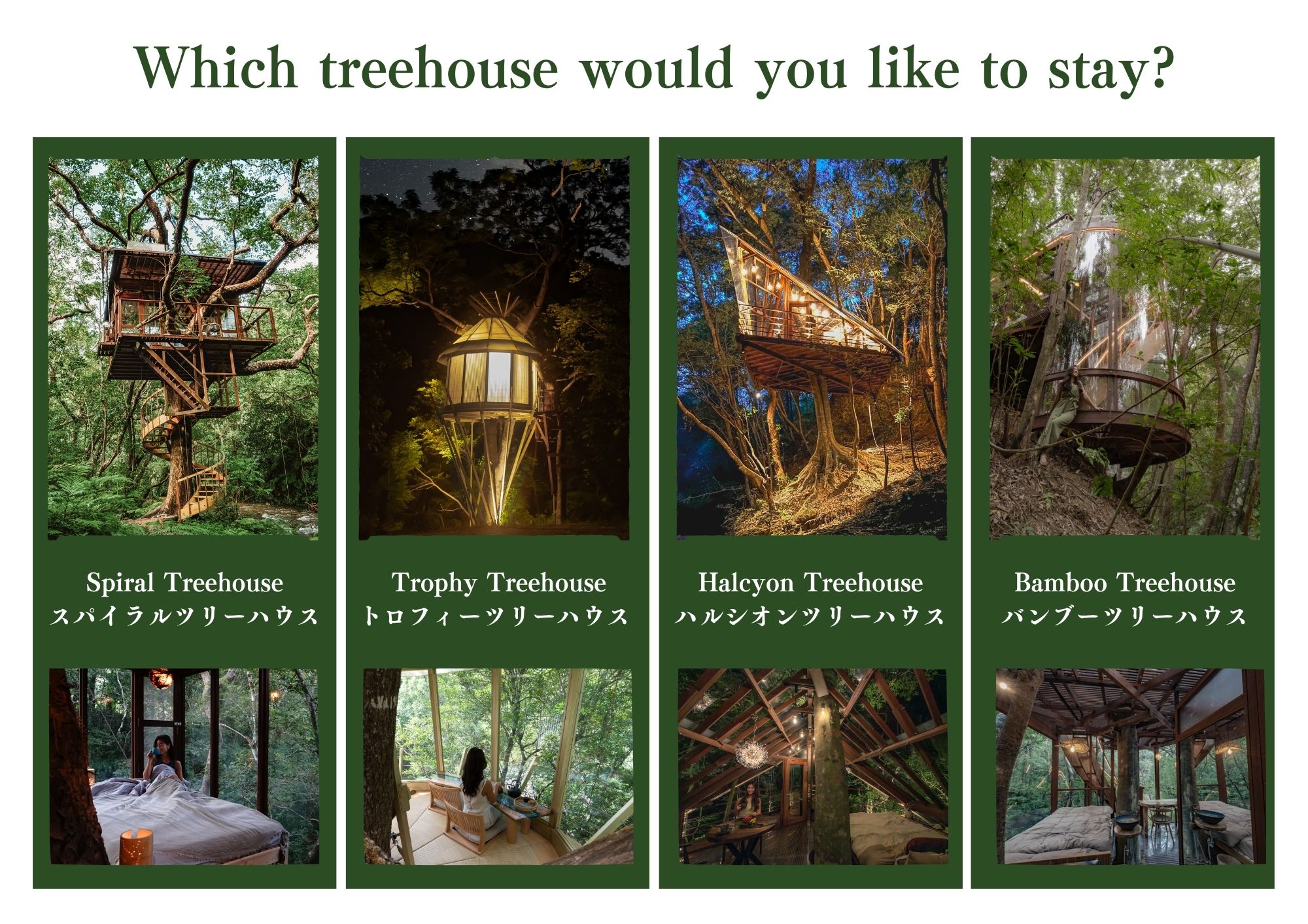 ツリーハウスの種類