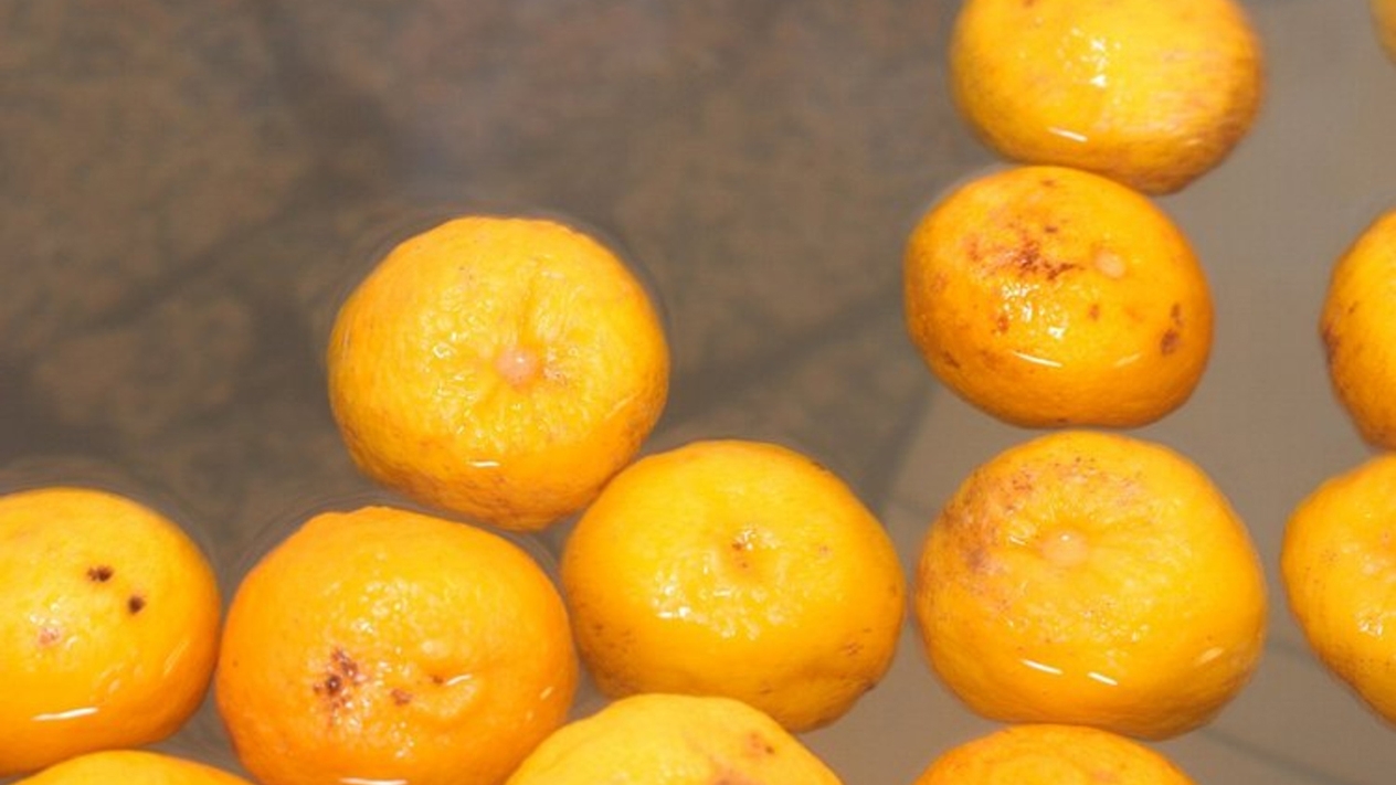 【直前割で夏湯治】ファミリープランがお得★暑い夏は冷泉浴でカラダを癒す（2食付/お部屋食）