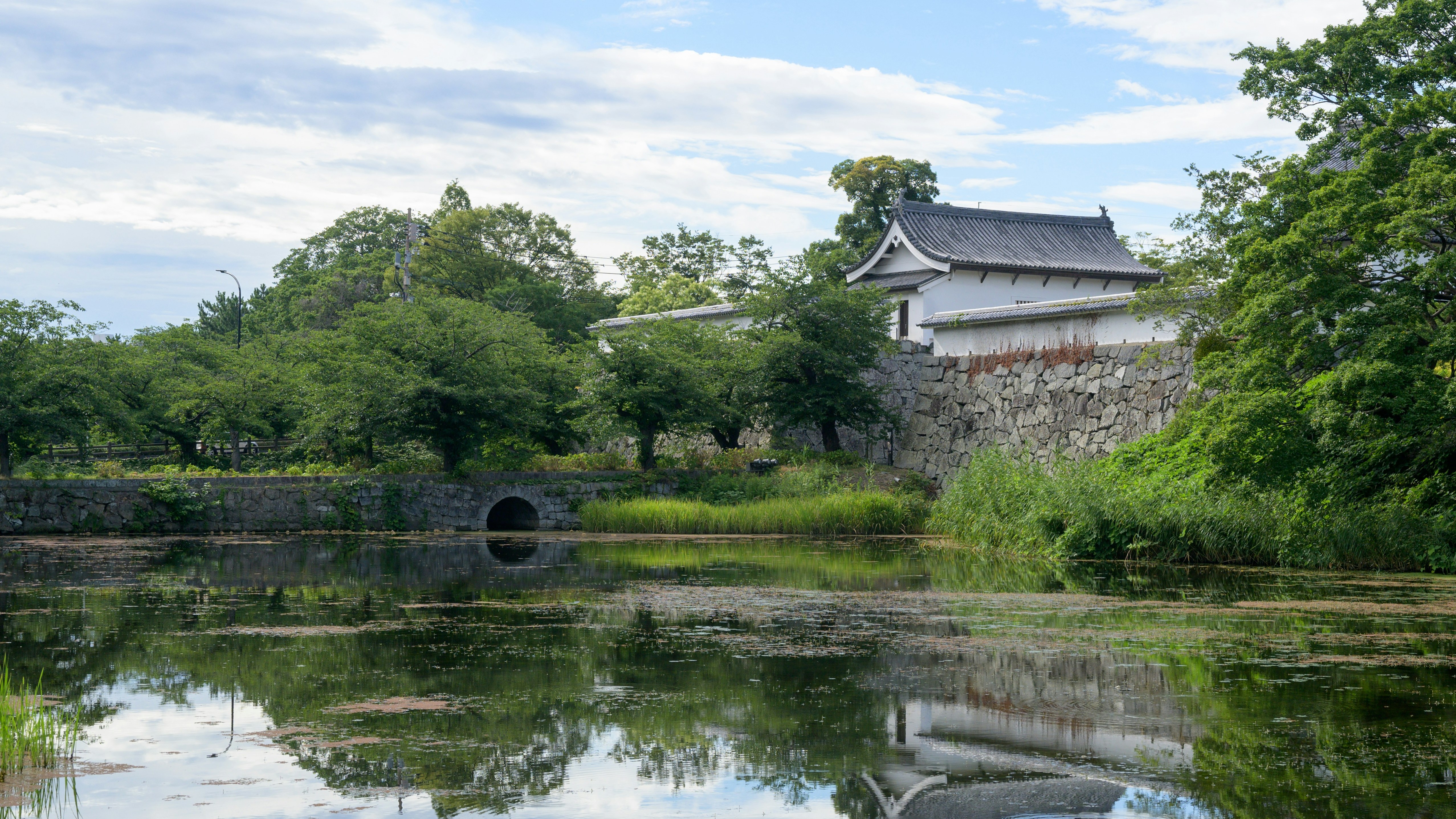 周辺観光（福岡城跡）