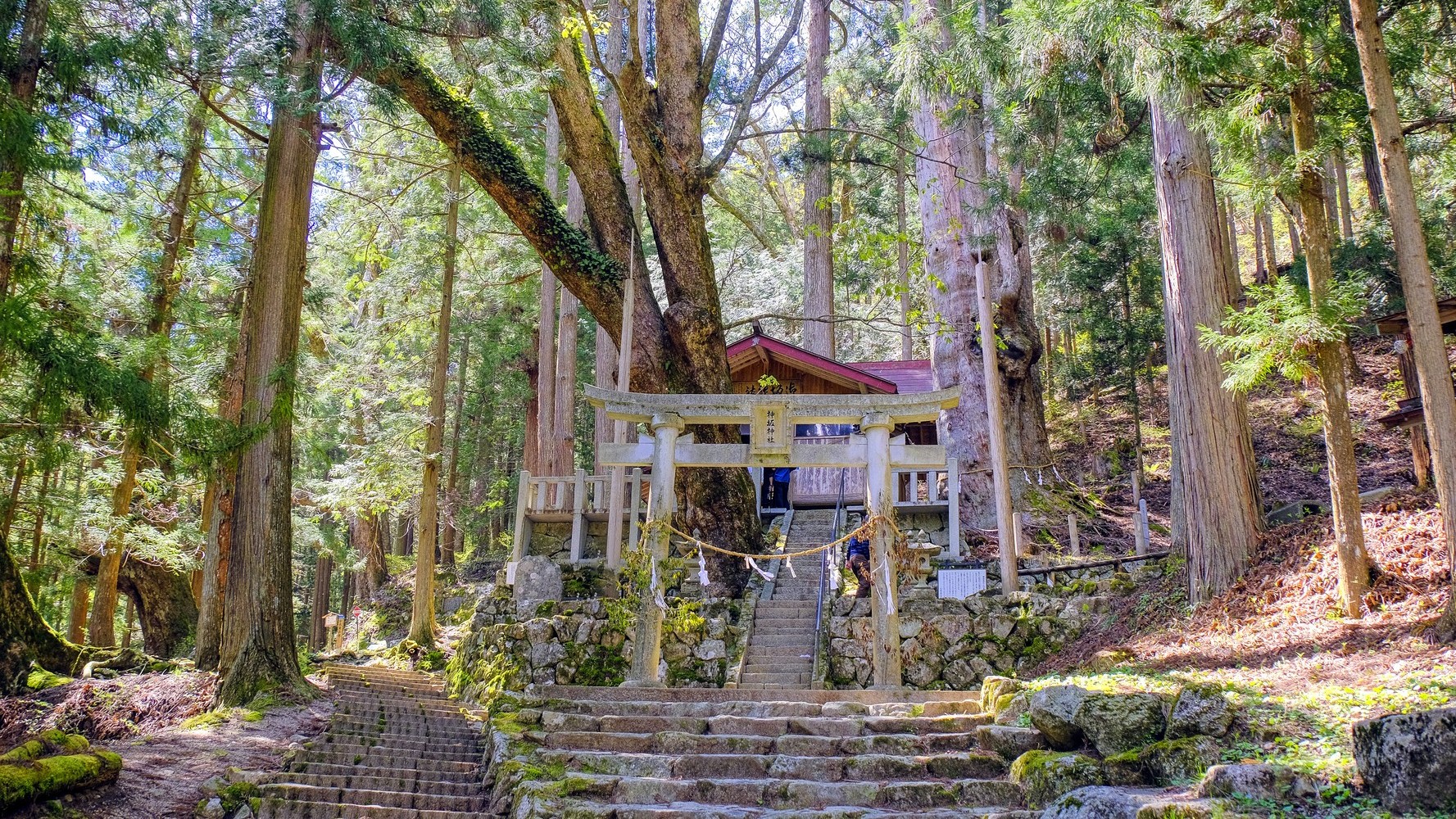 神坂神社：古代信仰が残る霊験の社