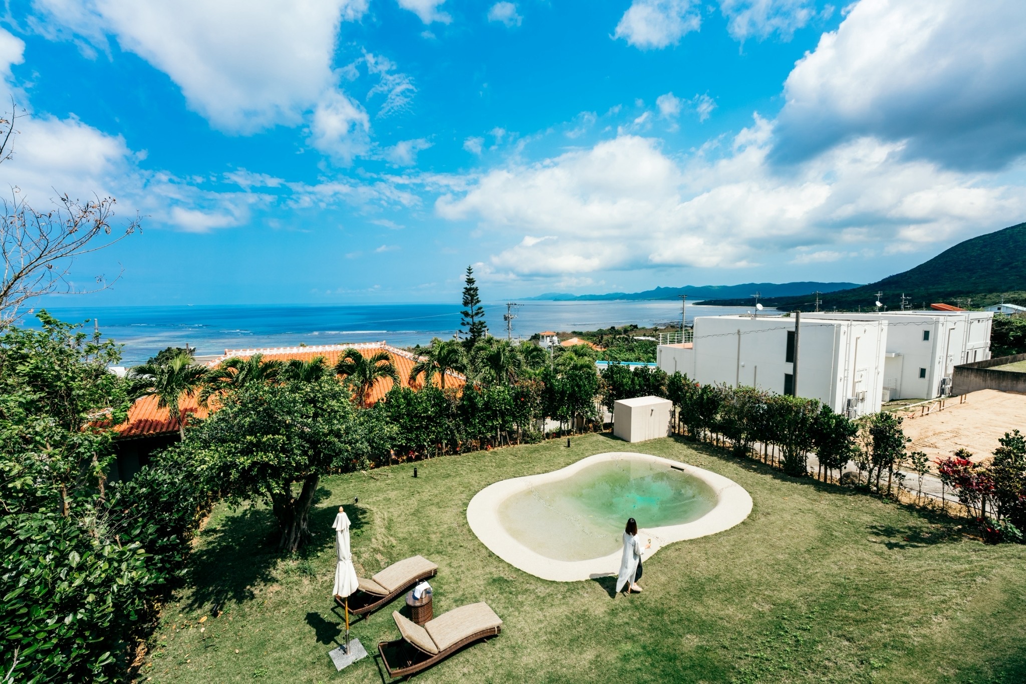 天然　法螺貝　石垣島 沖縄石垣島 ホラ貝 法螺貝 貝殻 大 - メルカリ