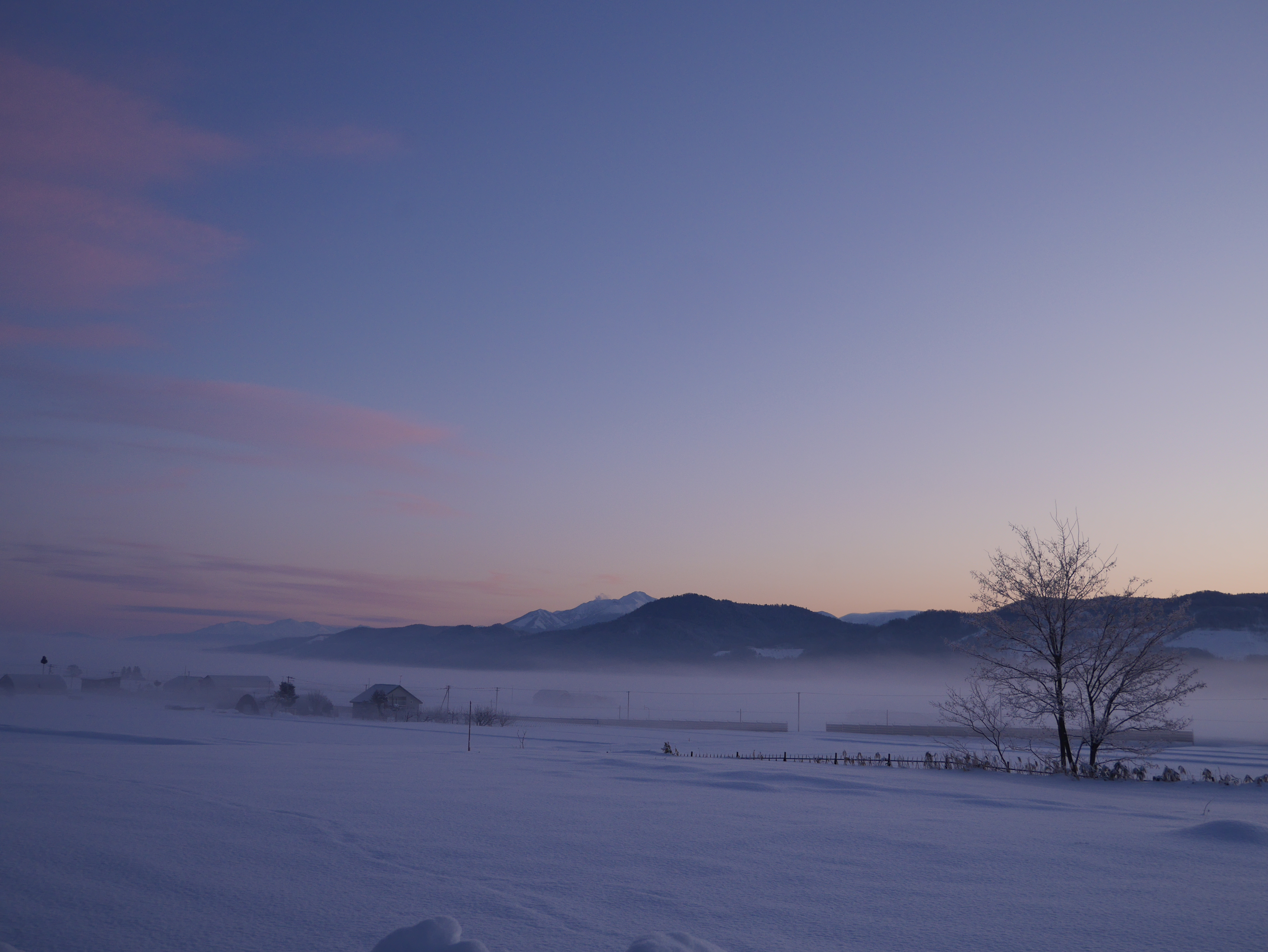 敷地から見る十勝岳、旭岳(夕暮れ)