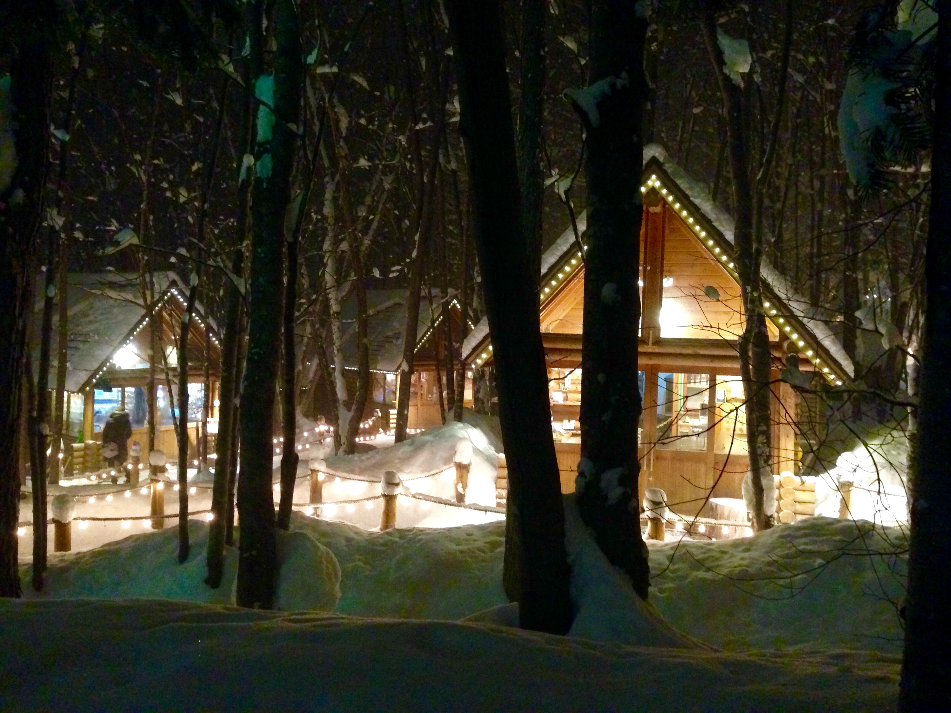 周辺施設ーニングルテラス