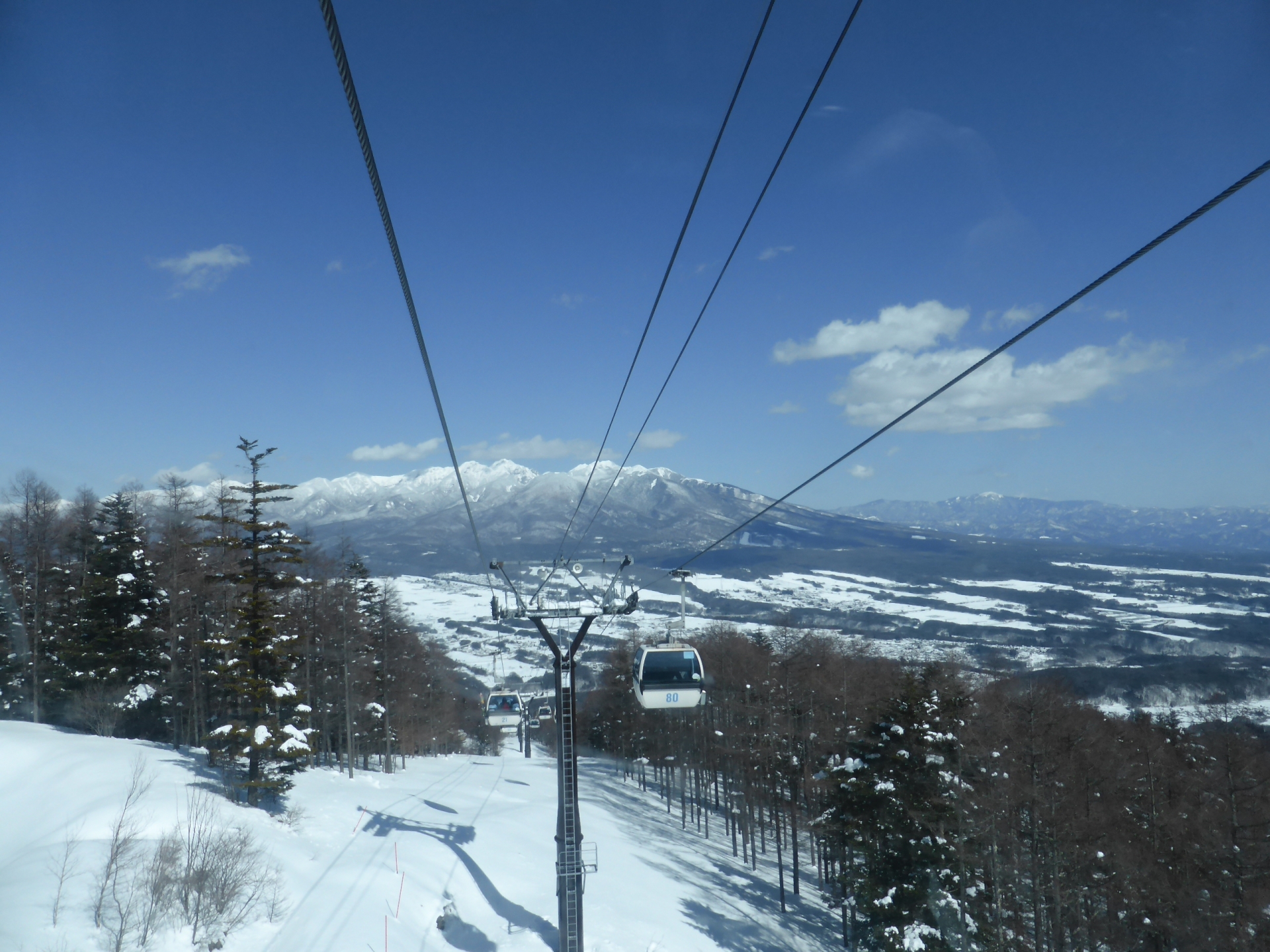 周辺施設ー富良野スキー場