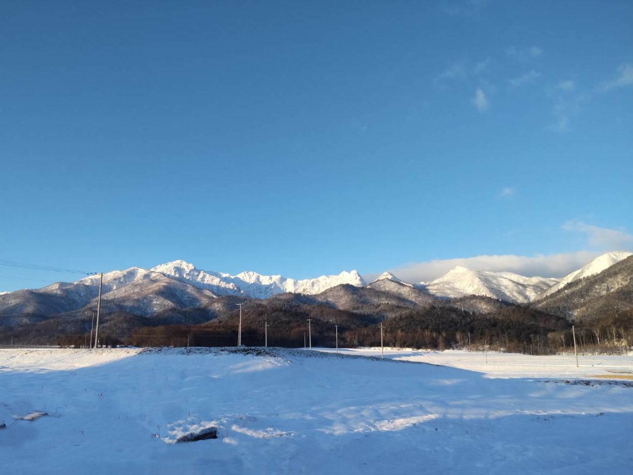 敷地から見る芦別岳