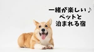 ペットと泊まれる１棟貸切でストレスフリーなプラン♪
