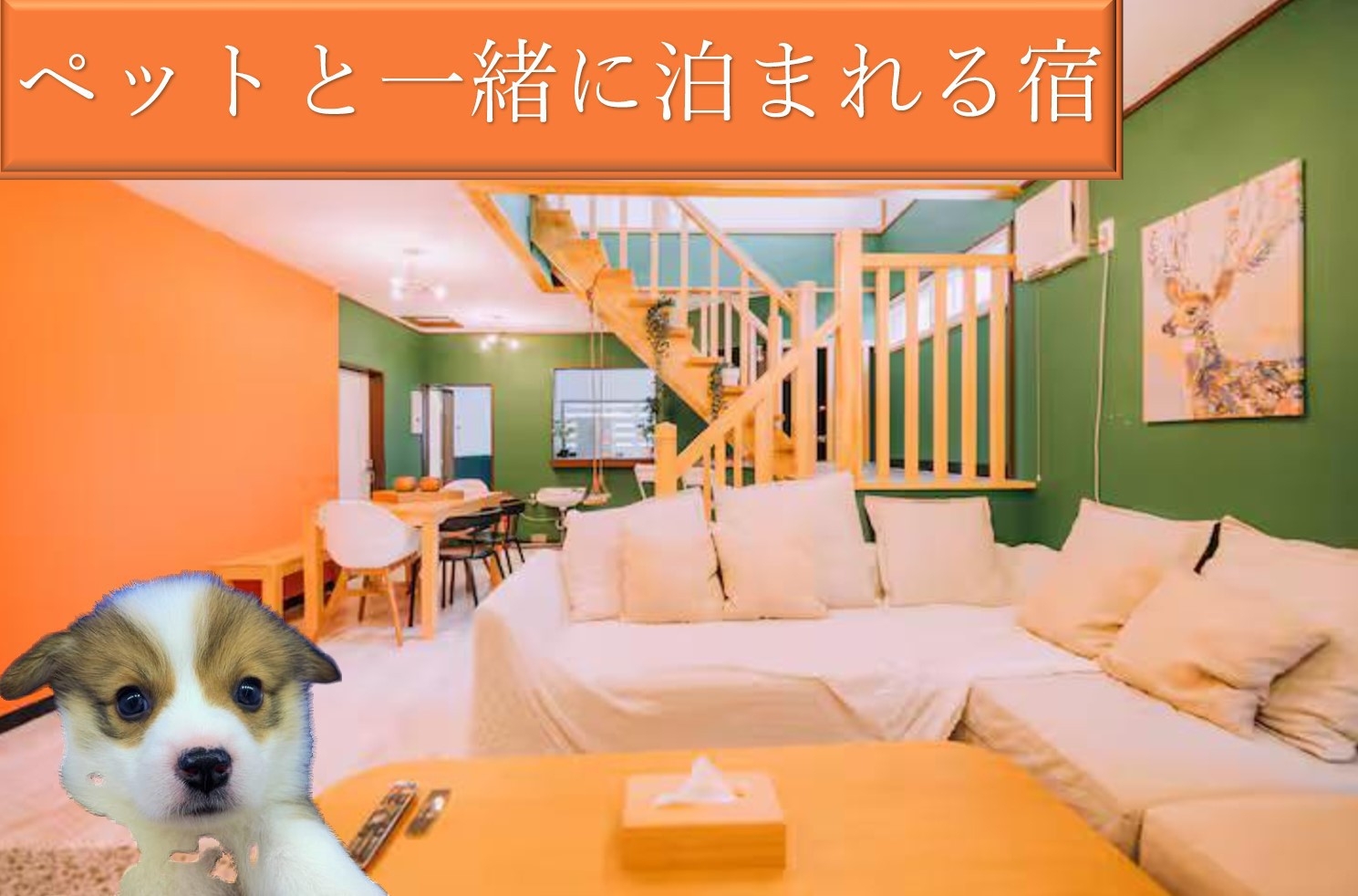 ペットと泊まれる１棟貸切でストレスフリーなプラン♪