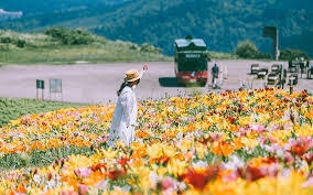 他より少し春の訪れが遅いのでゴールデンウィークは桜が満開！！雪解けの春が絶景の湯沢を楽しむ