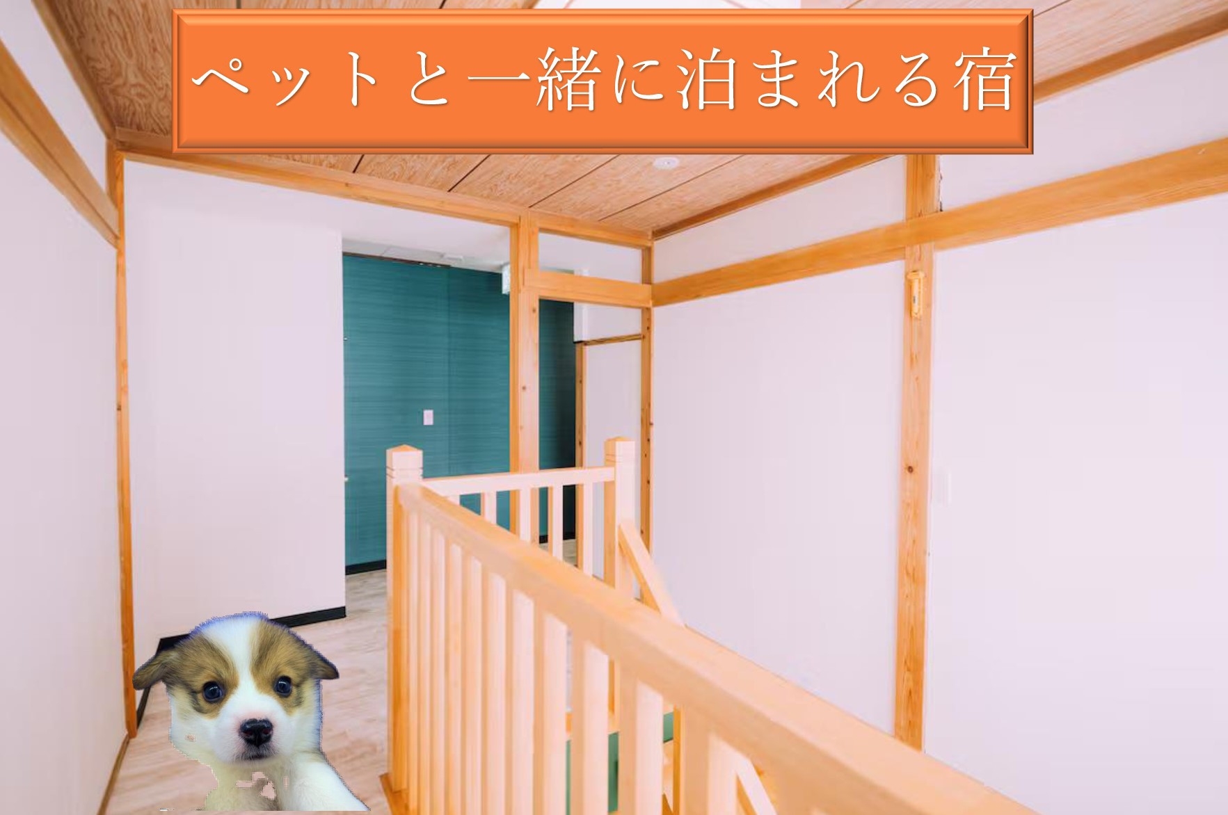 ペットと泊まれる１棟貸切でストレスフリーなプラン♪