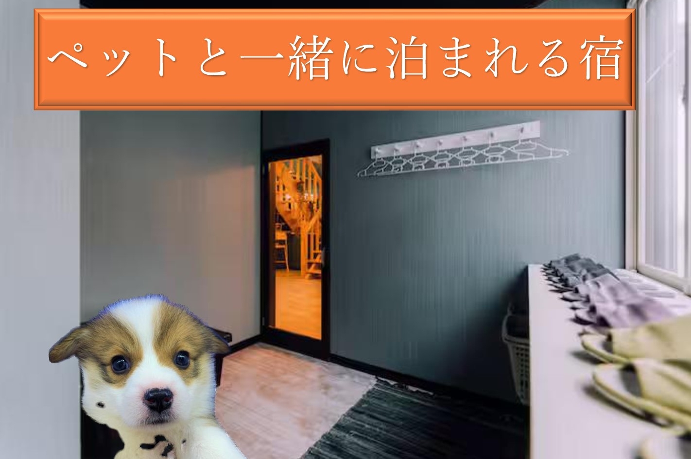 ペットと泊まれる１棟貸切でストレスフリーなプラン♪