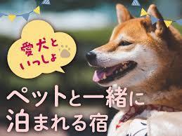 ペットと泊まれる宿