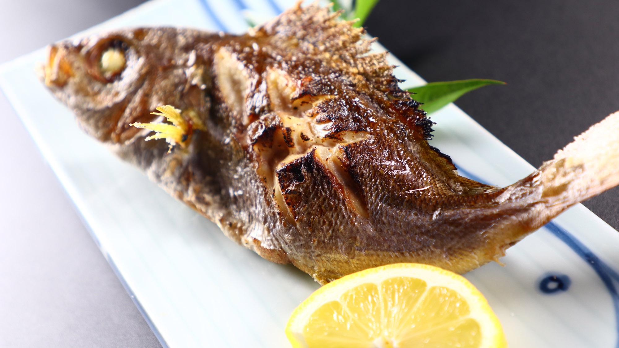 南知多旬魚を楽しむ◇まずはここから◇目利きが仕入れた美味しいお魚召し上がれ◇1泊2食付【ST】