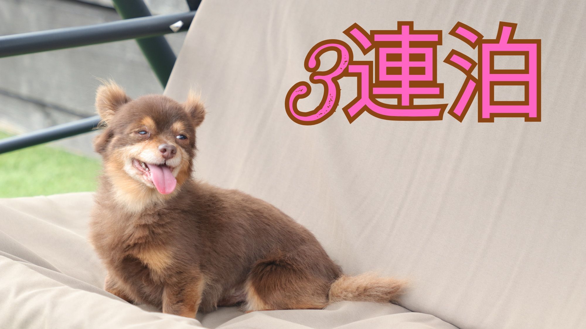 【3連泊割】3連泊でECO＆お財布にも優しい｜のんびり犬旅STAY