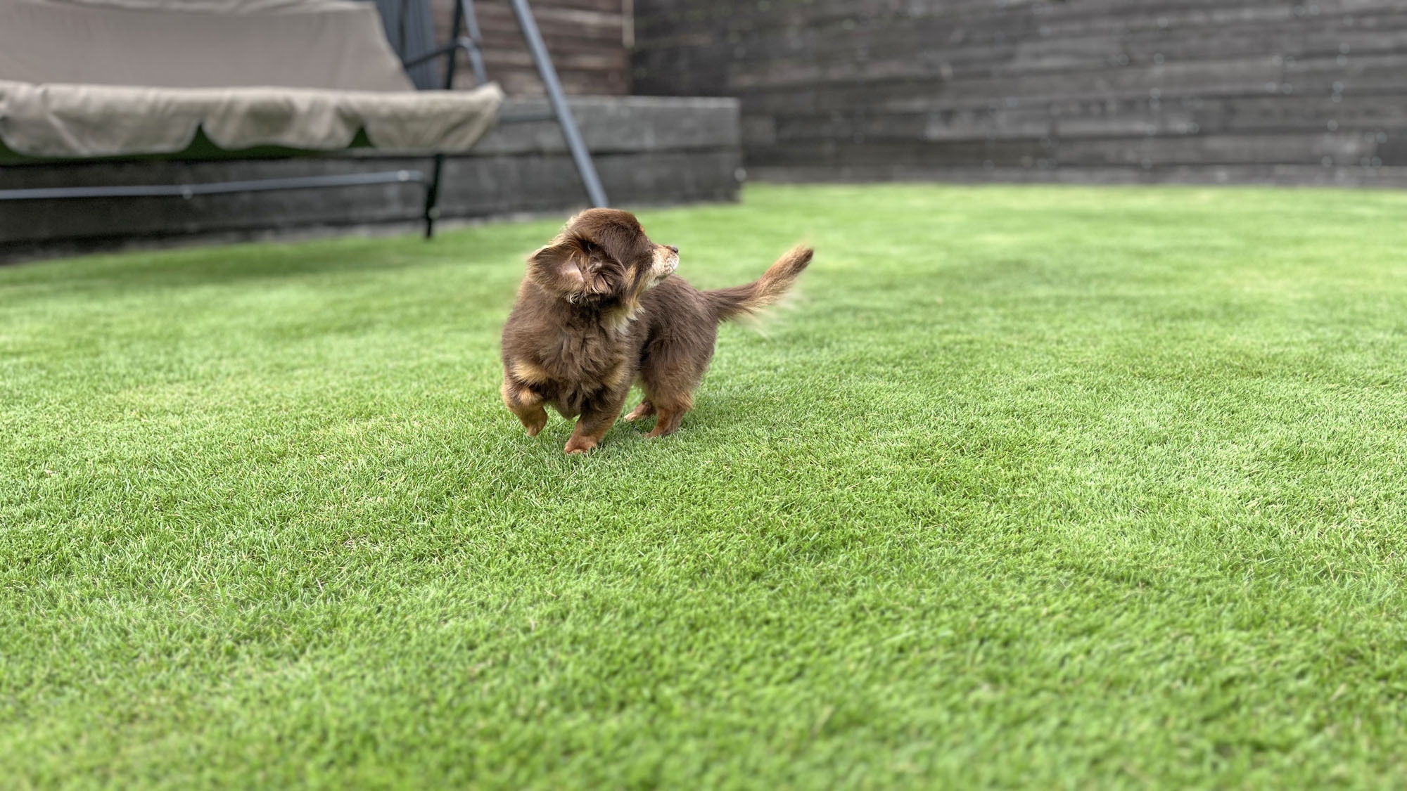 【DOGフレンドリー】イーリオハレで過ごす素泊まり休日