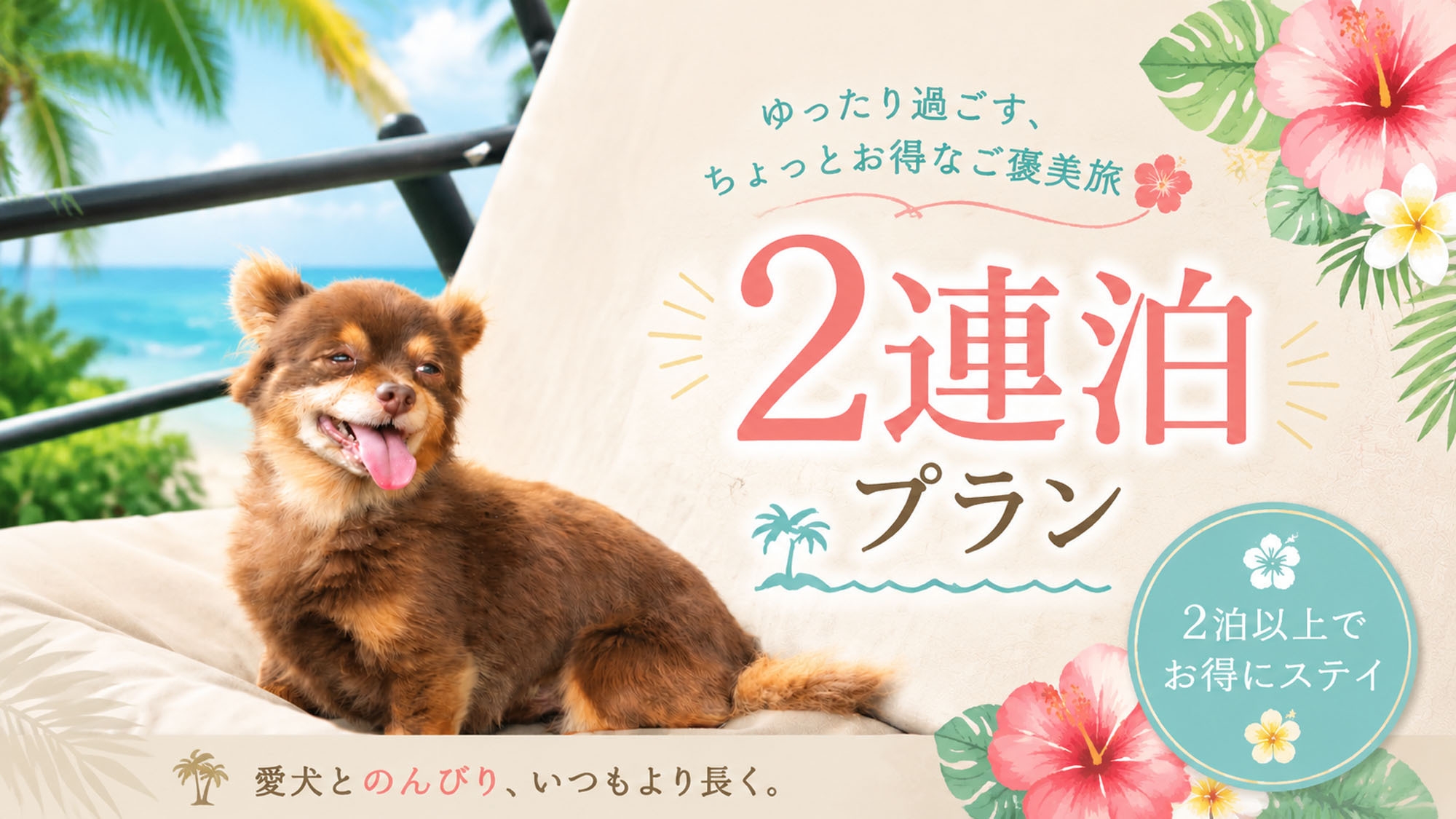 【連泊エコプラン×素泊まり】海風とともに、のんびり犬旅ステイ