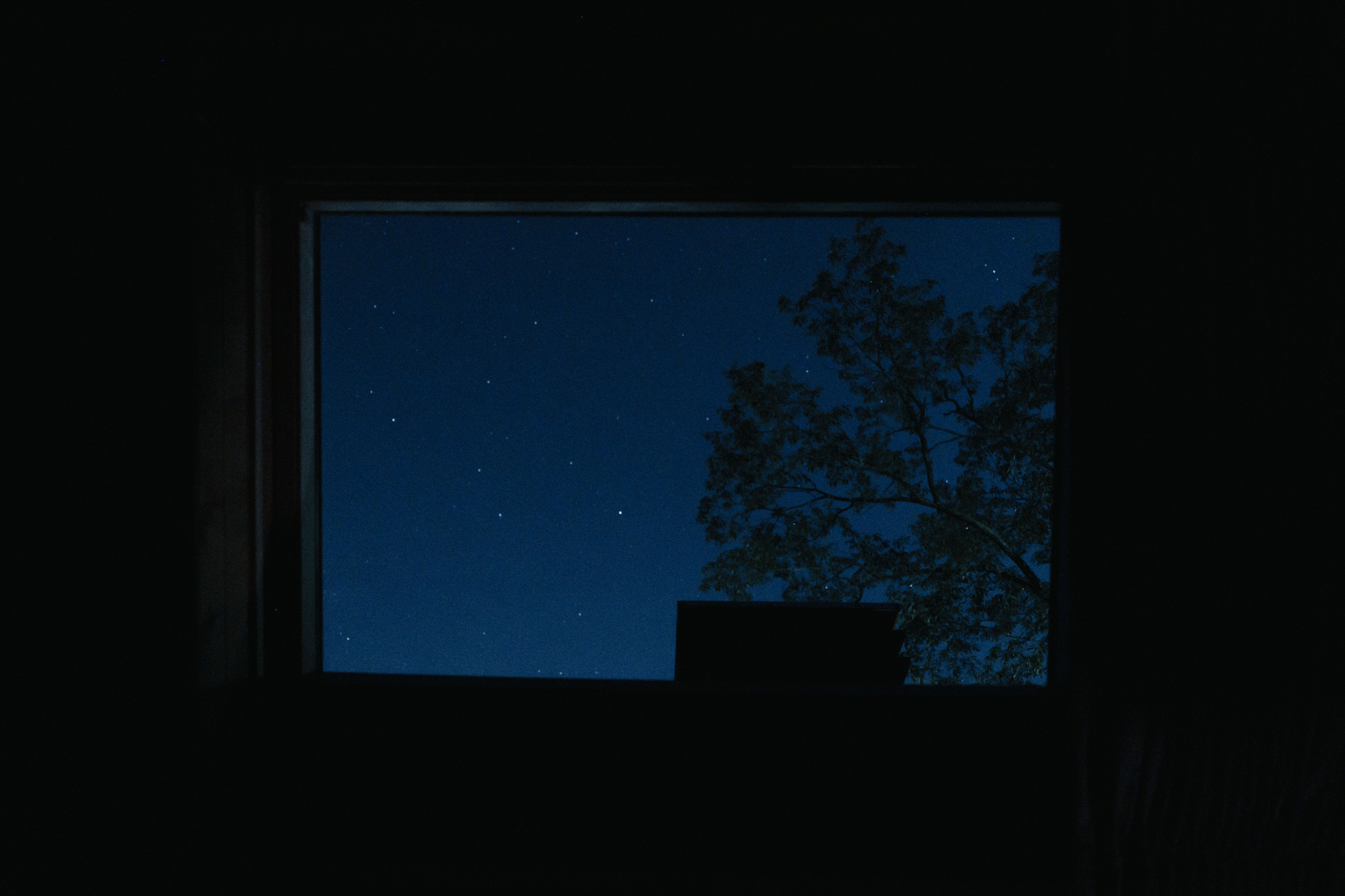 寝室天窓からの景色。