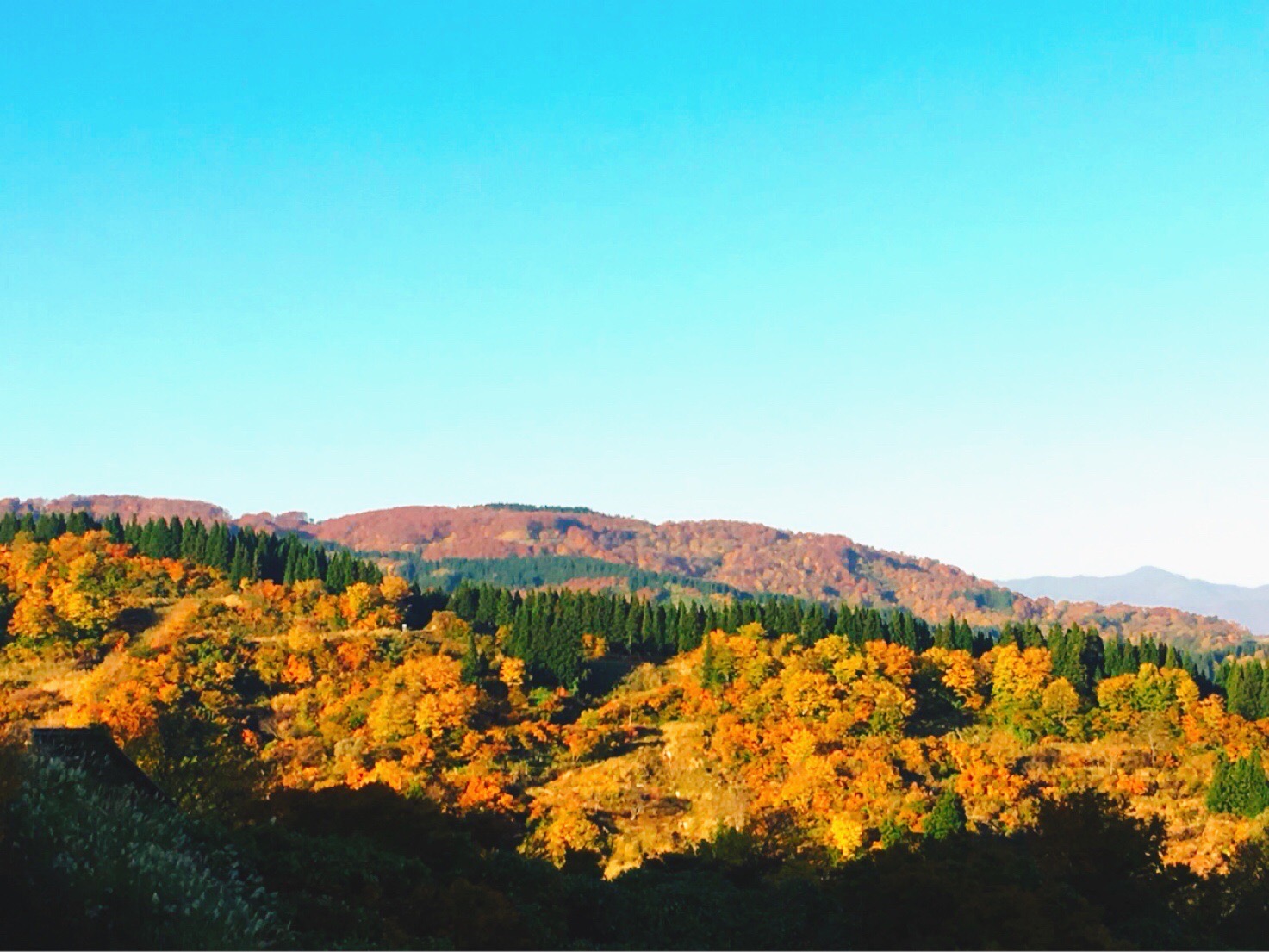 色づく木々に囲まれた鷹羽鉱泉。自然と一体になるひとときを。