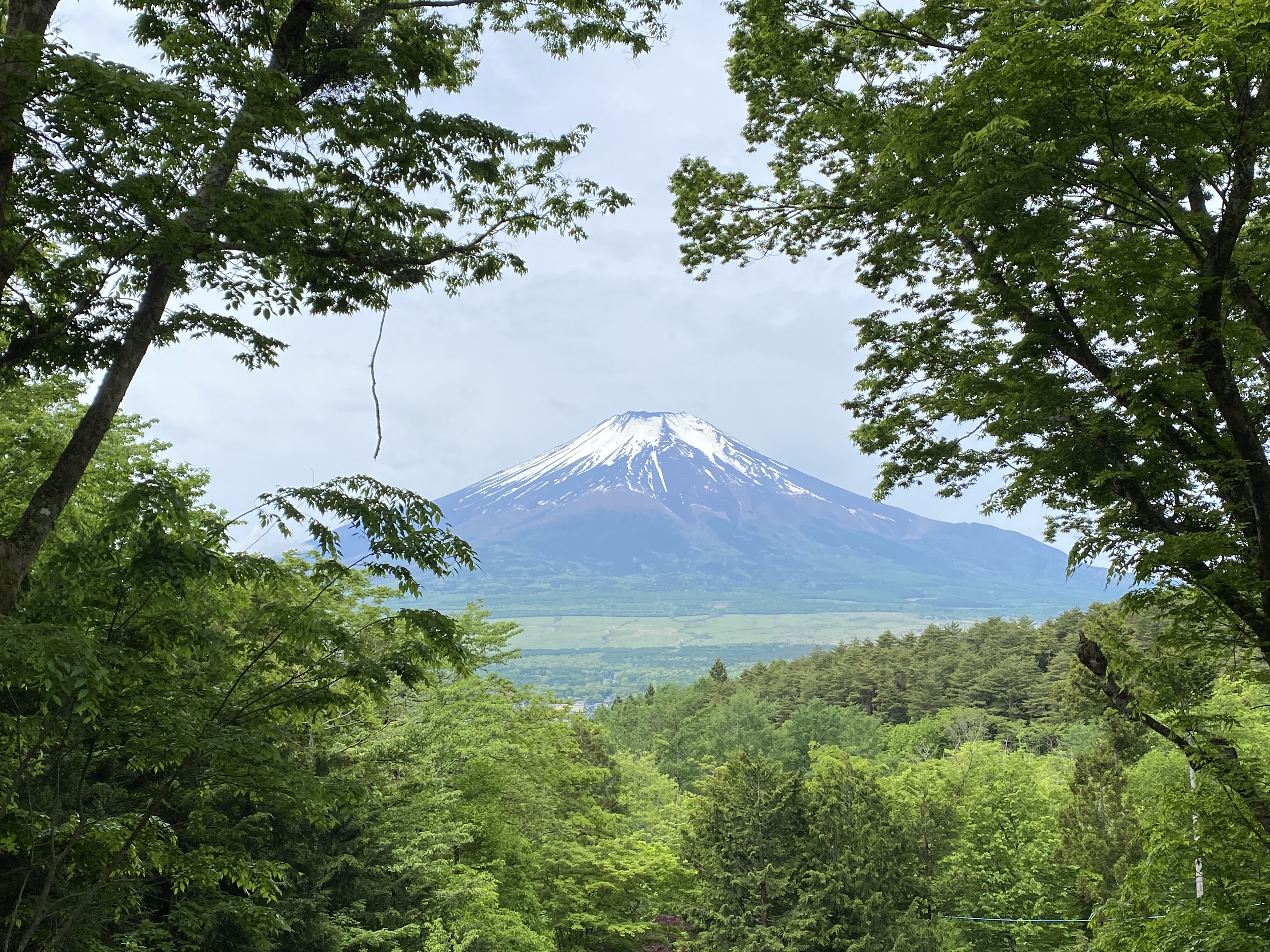 富士山と山中湖が見えます。