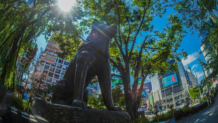 ☆〇客室タイプおまかせだからお得なプラン(素泊まり)