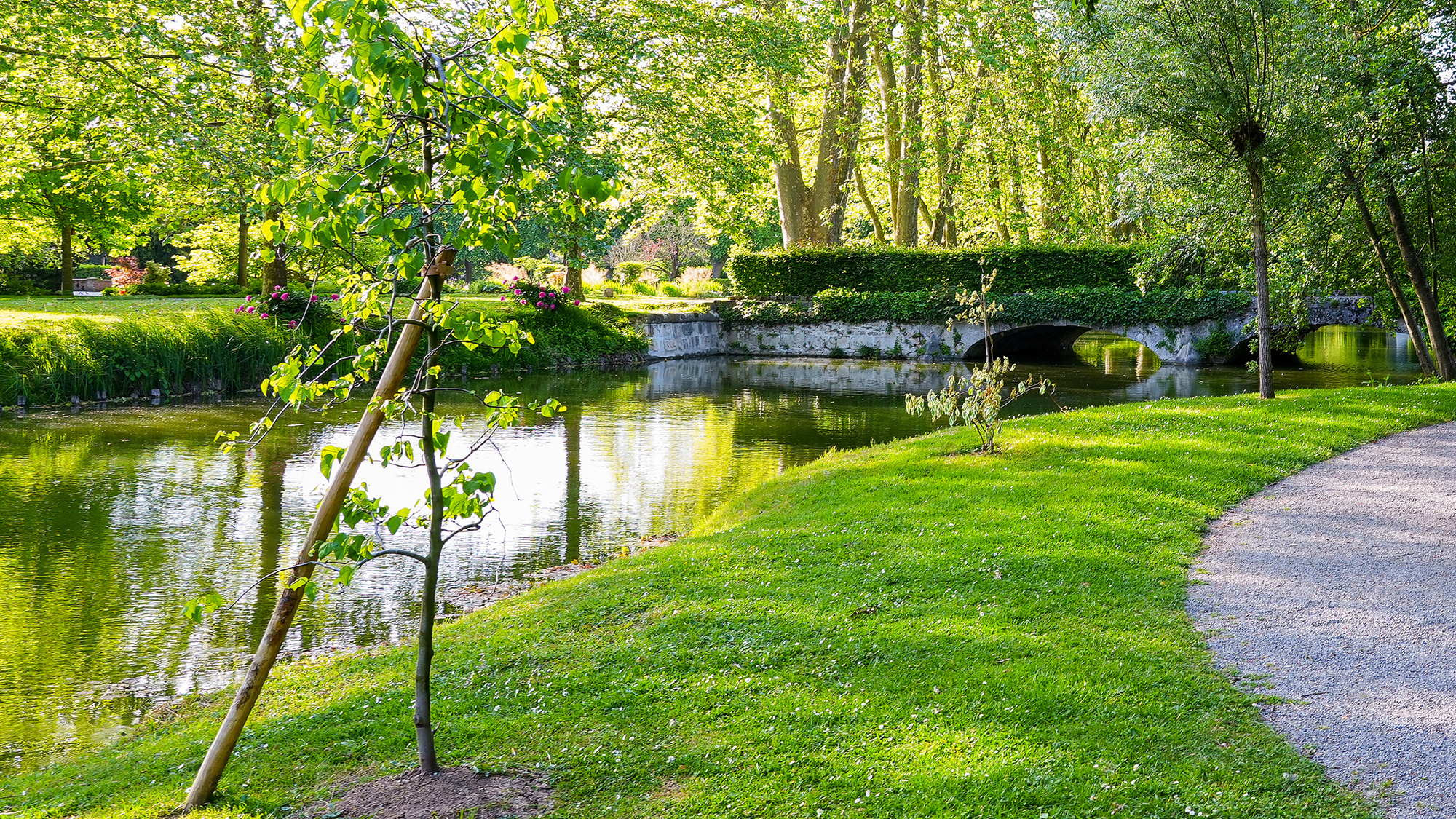 ◆鍋島松濤公園 イメージ