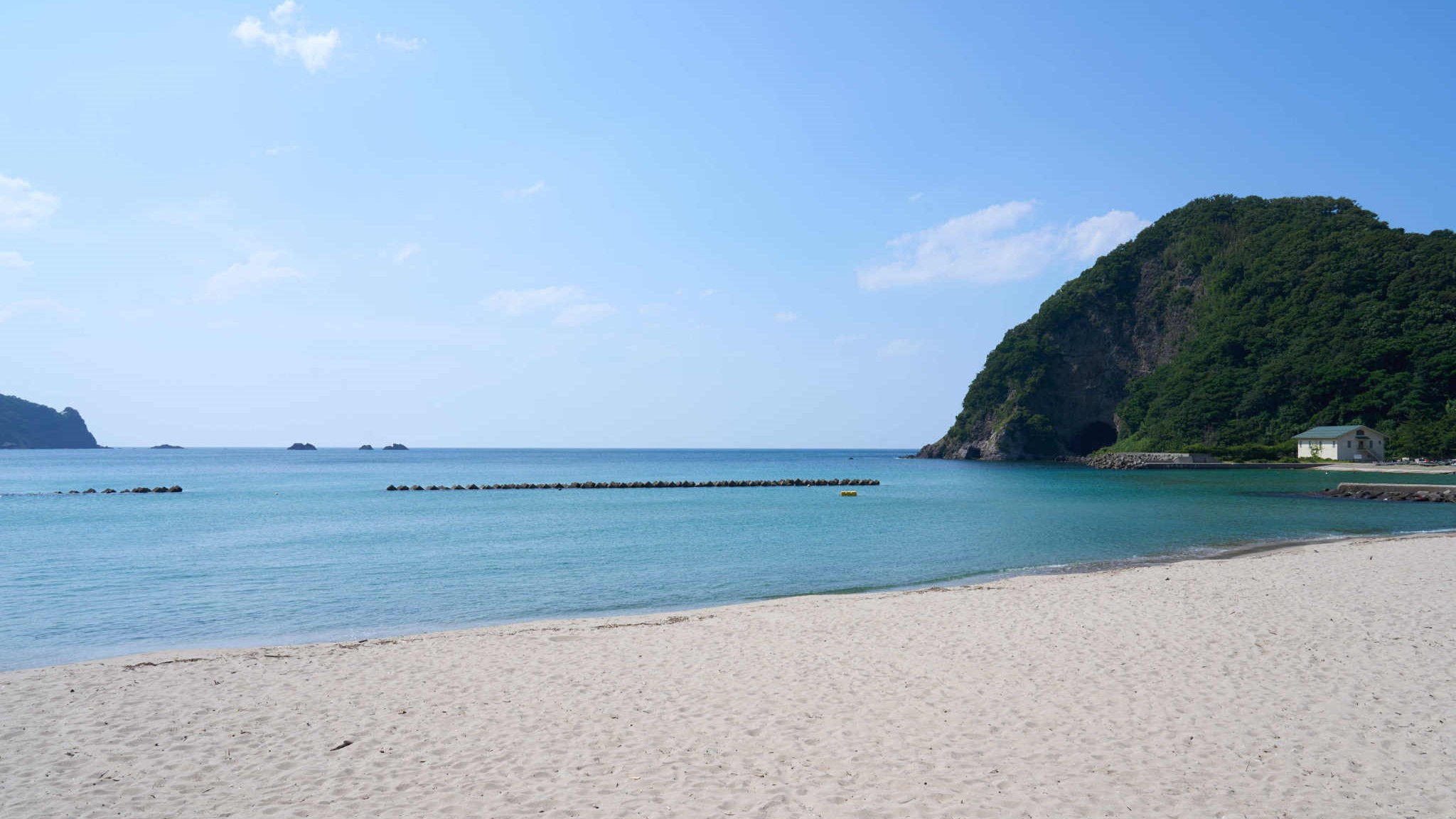 【日帰り夕食　浜コース】　新鮮海の幸満載