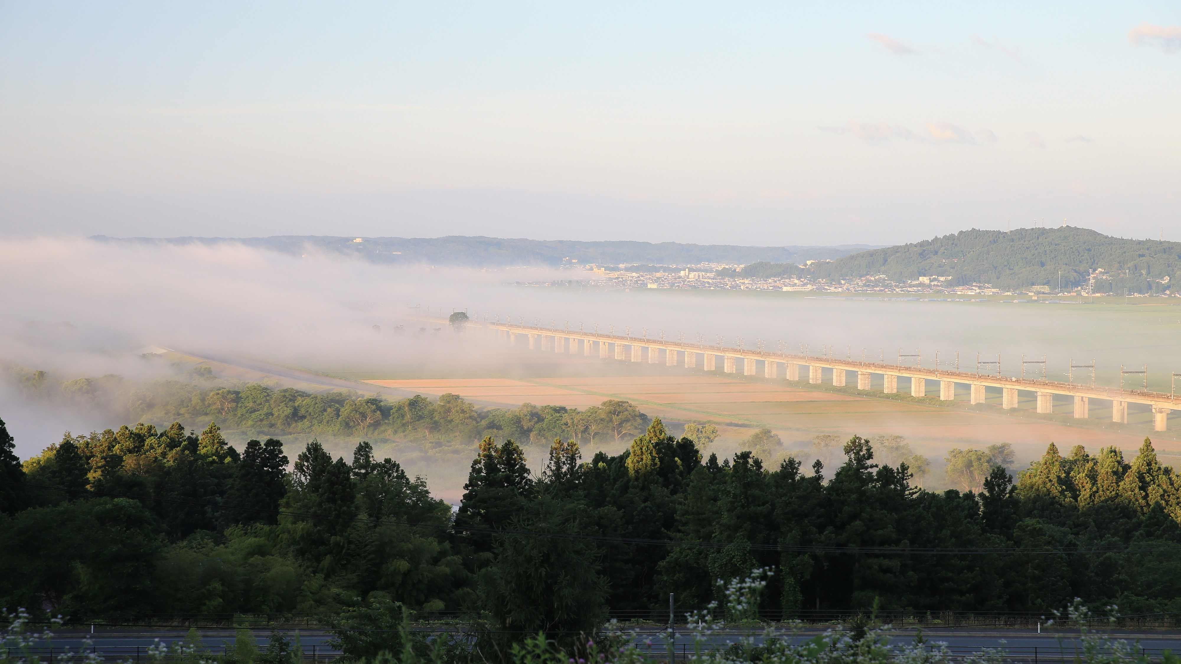 秋に見られる風景