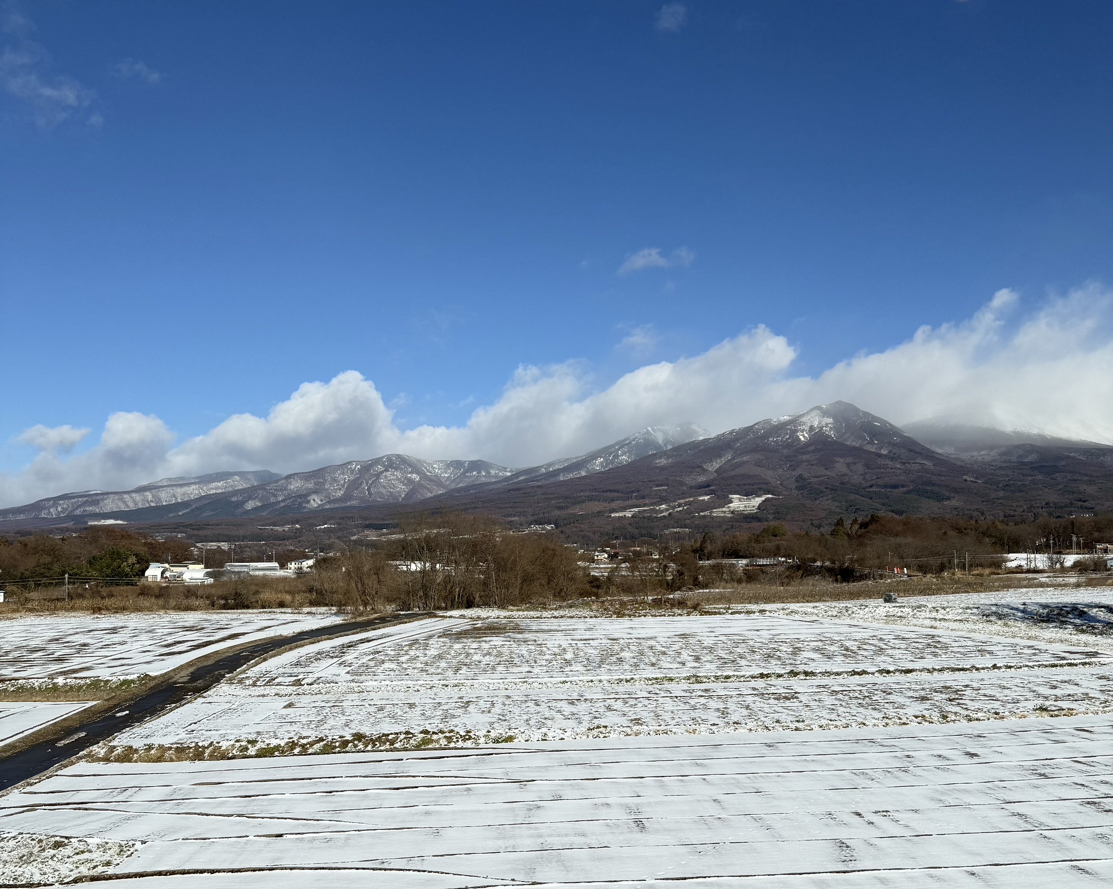 今の時期は雪景色が楽しめます 自然豊かな環境なので四季を通じて景観を楽しむことができます。 春には徐々に緑が濃くなっていく新緑を、夏には食卓に並ぶ前の熟れた野菜と青空を、秋には紅葉して豊かな色合いの山々を、そして冬には幻想的な白銀の世界を、どれも心を豊かにしてくれるサニーゴー自慢の風景です