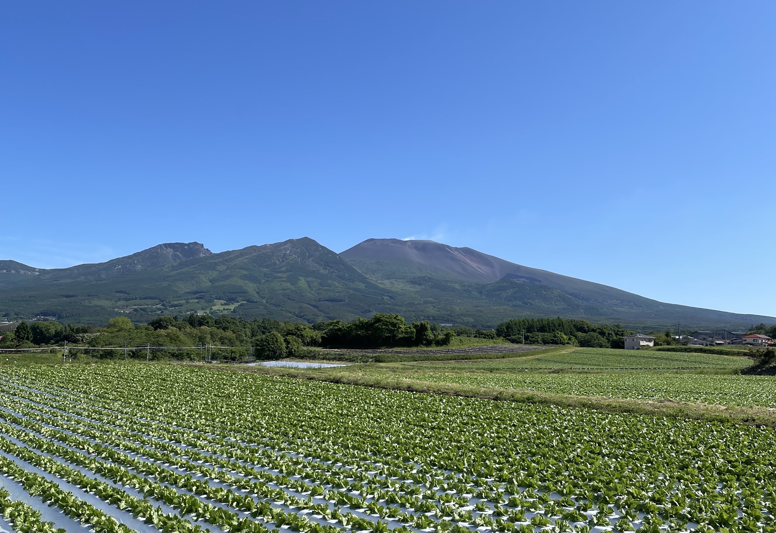 浅間山を望む絶好のロケーション　ここは御代田町でも希少な浅間山を一望できる好立地です。 そして目の前に広がる畑では春から秋にかけて育っていく野菜と収穫する農家さんの姿を見ることができます。ぜひ子供と一緒に都会ではなかなか見られない光景を見て感動してもらいたいと思います。冬には一面雪景色となり幻想的な風景を楽しむことができます。