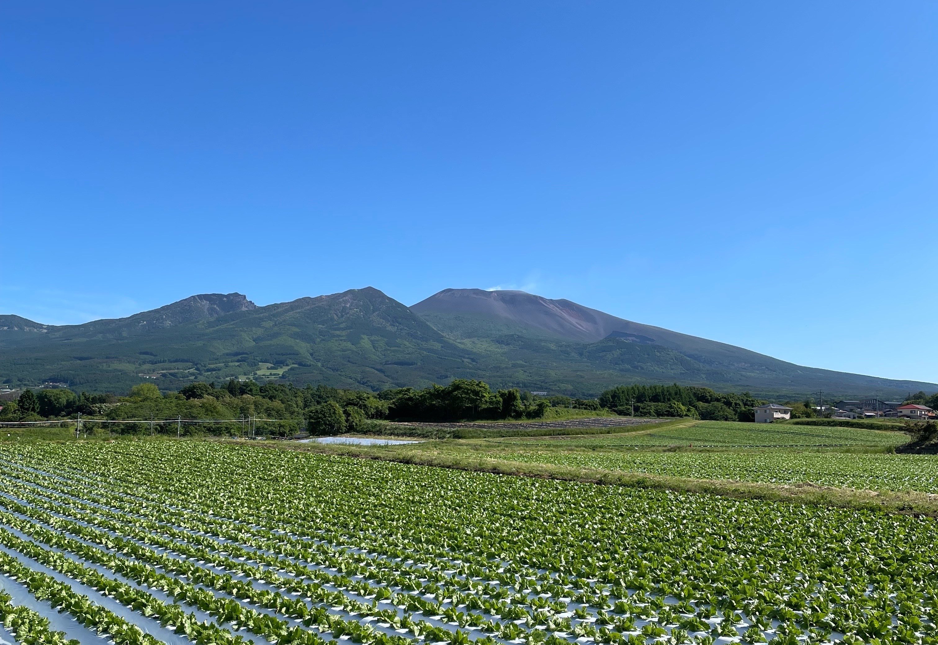 Ｓｕｎｎｙ　Ｇｏ