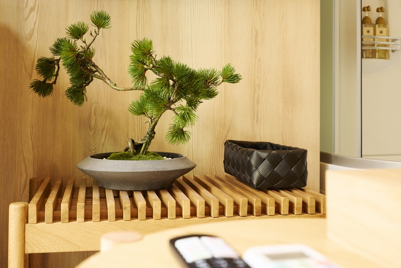 原宿裏通り、渋谷表参道観光拠点。和の寛ぎと心地よい滞在｜Maigre Petit 渋谷原宿山葵