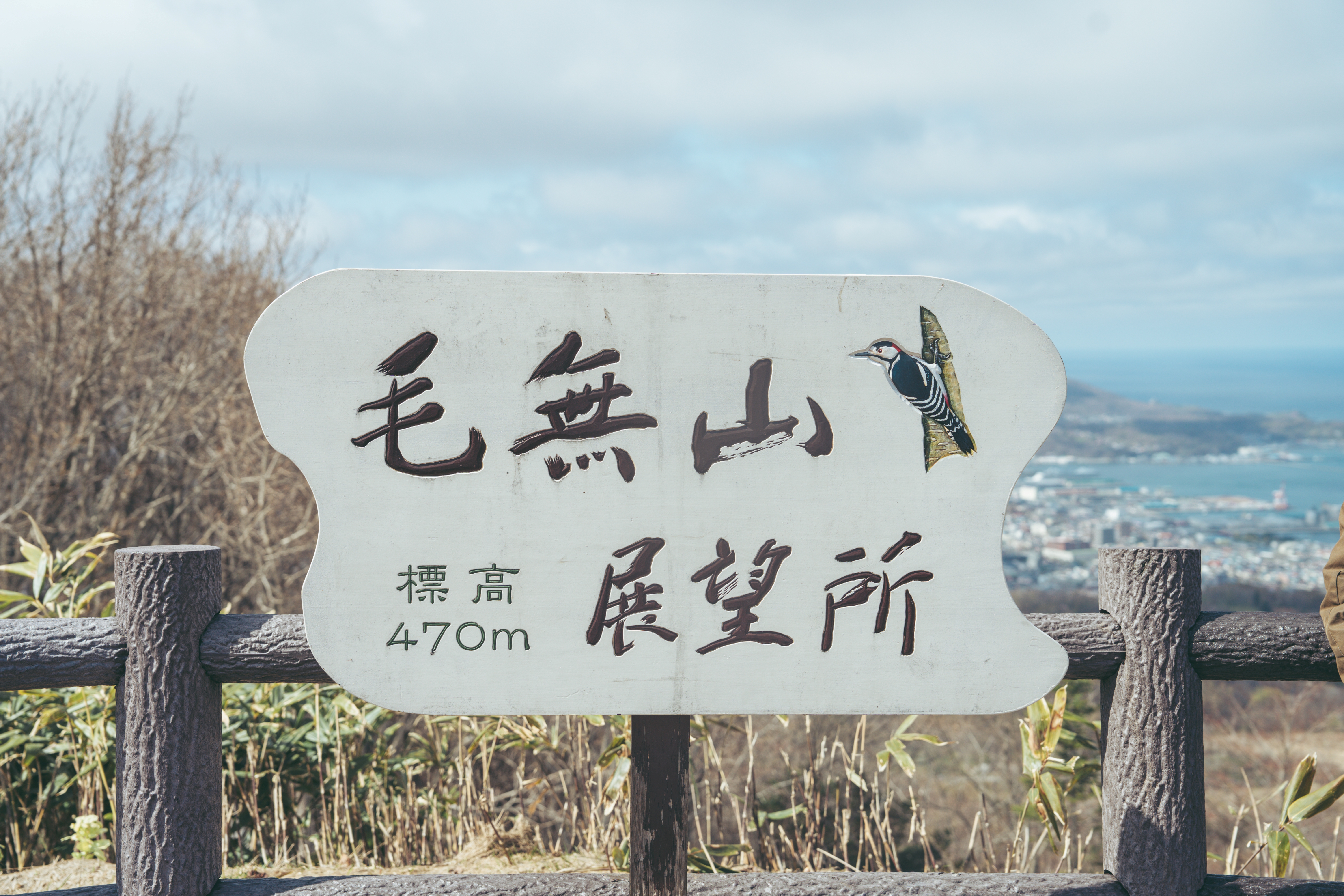 観光_毛無峠展望台