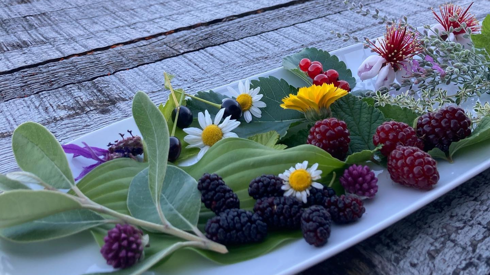 *【敷地内】夏の果実