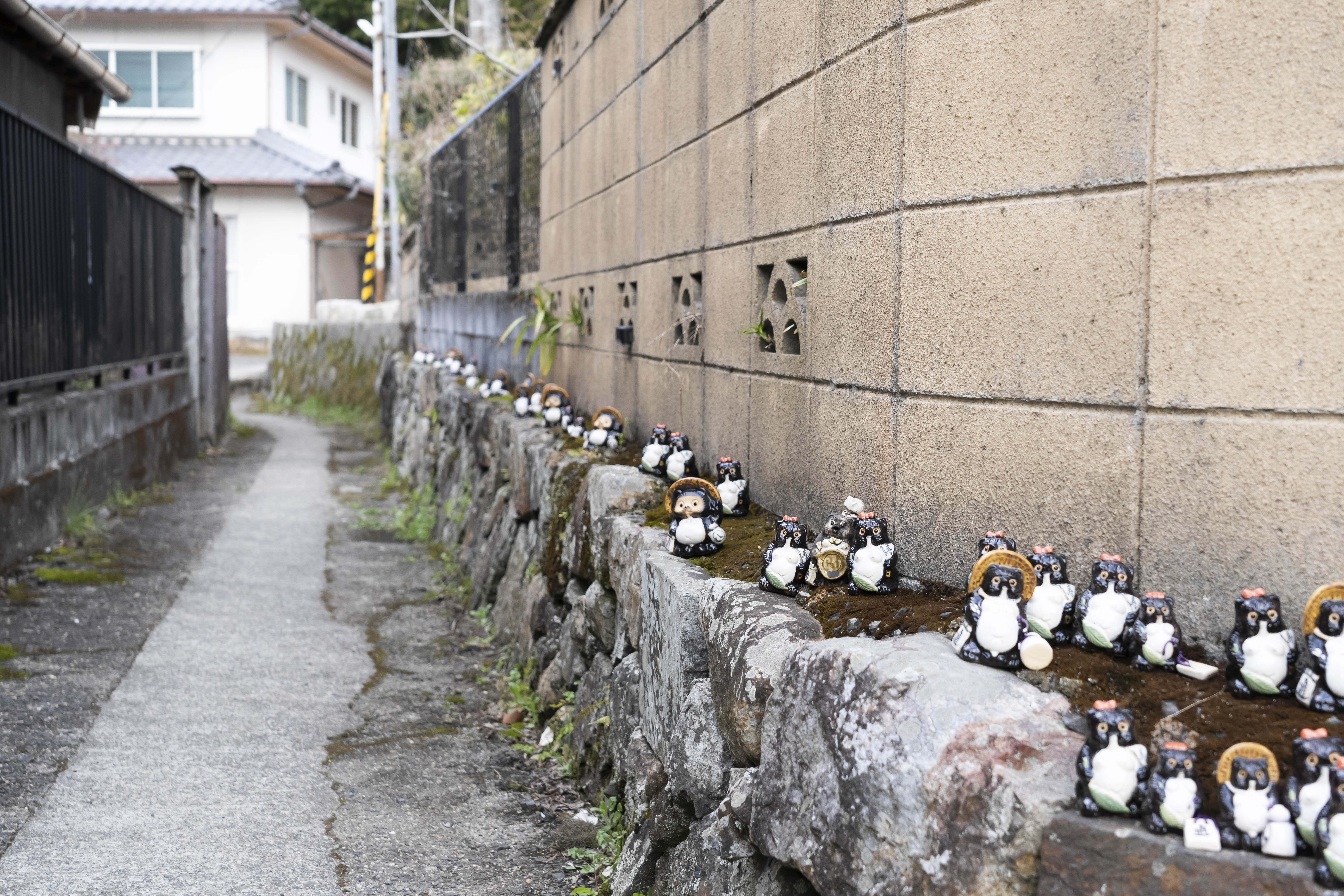 信楽焼の狸が並ぶ小道
