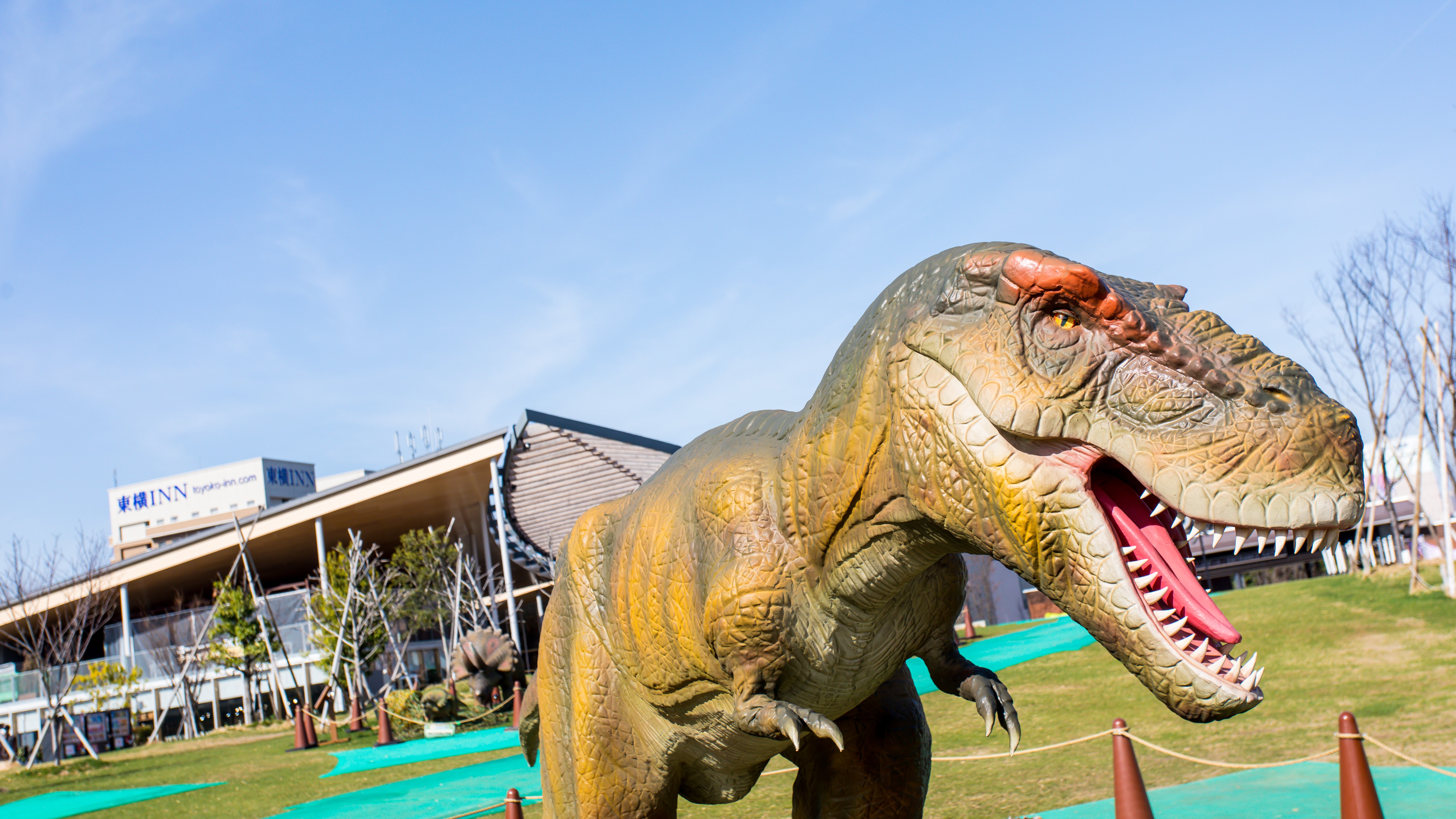 大阪天王寺公園（電車19分）