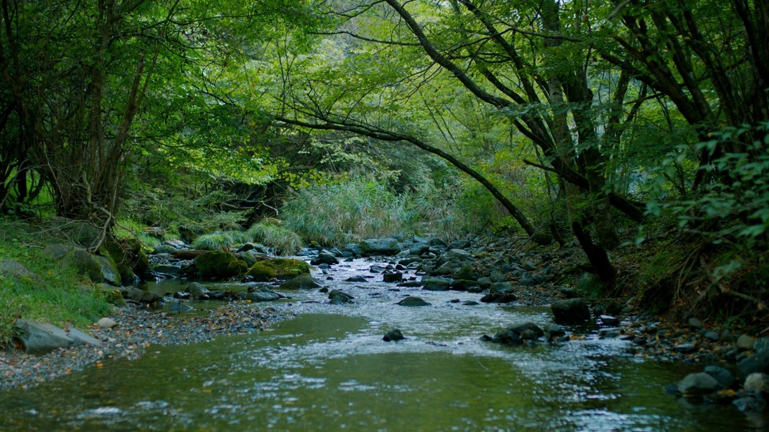 【連泊ステイ15％OFF】川音に身をゆだね、何もしない贅沢を。時間に追われない至福ステイ（素泊まり）