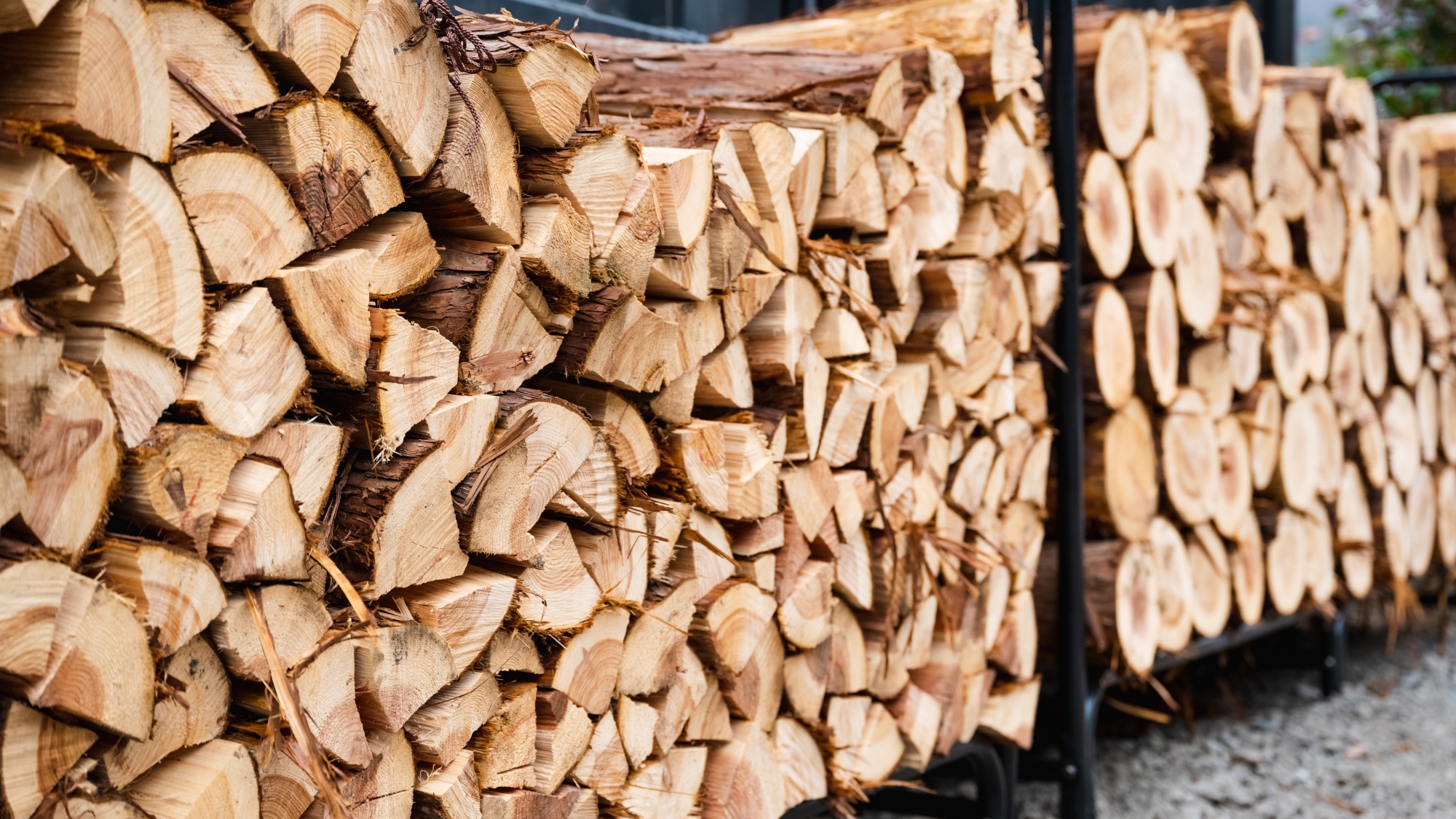 たき火：火と空気が融合する、唯一無二の焚火ダイニング