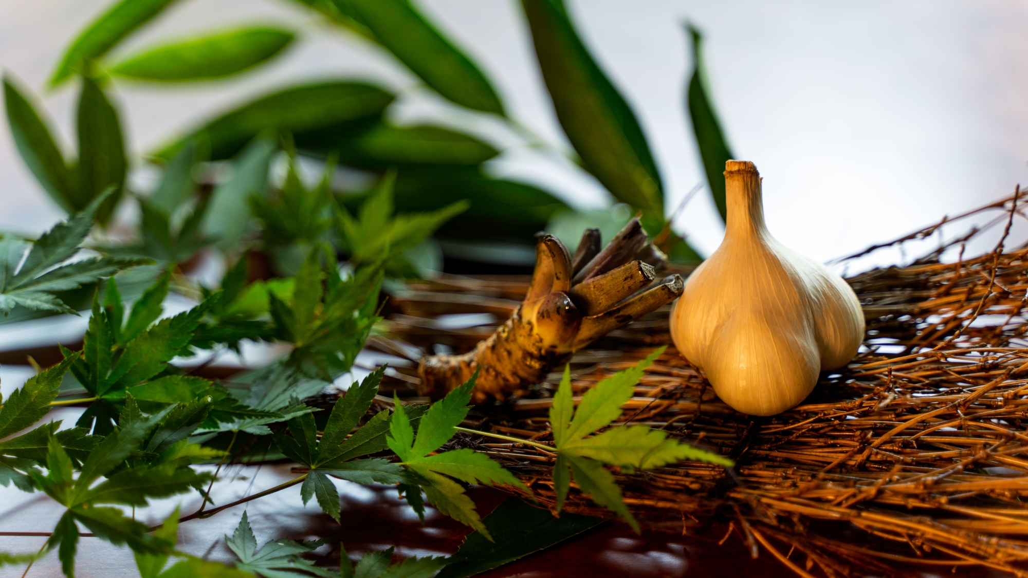 ◆お食事 - お食事提供イメージ