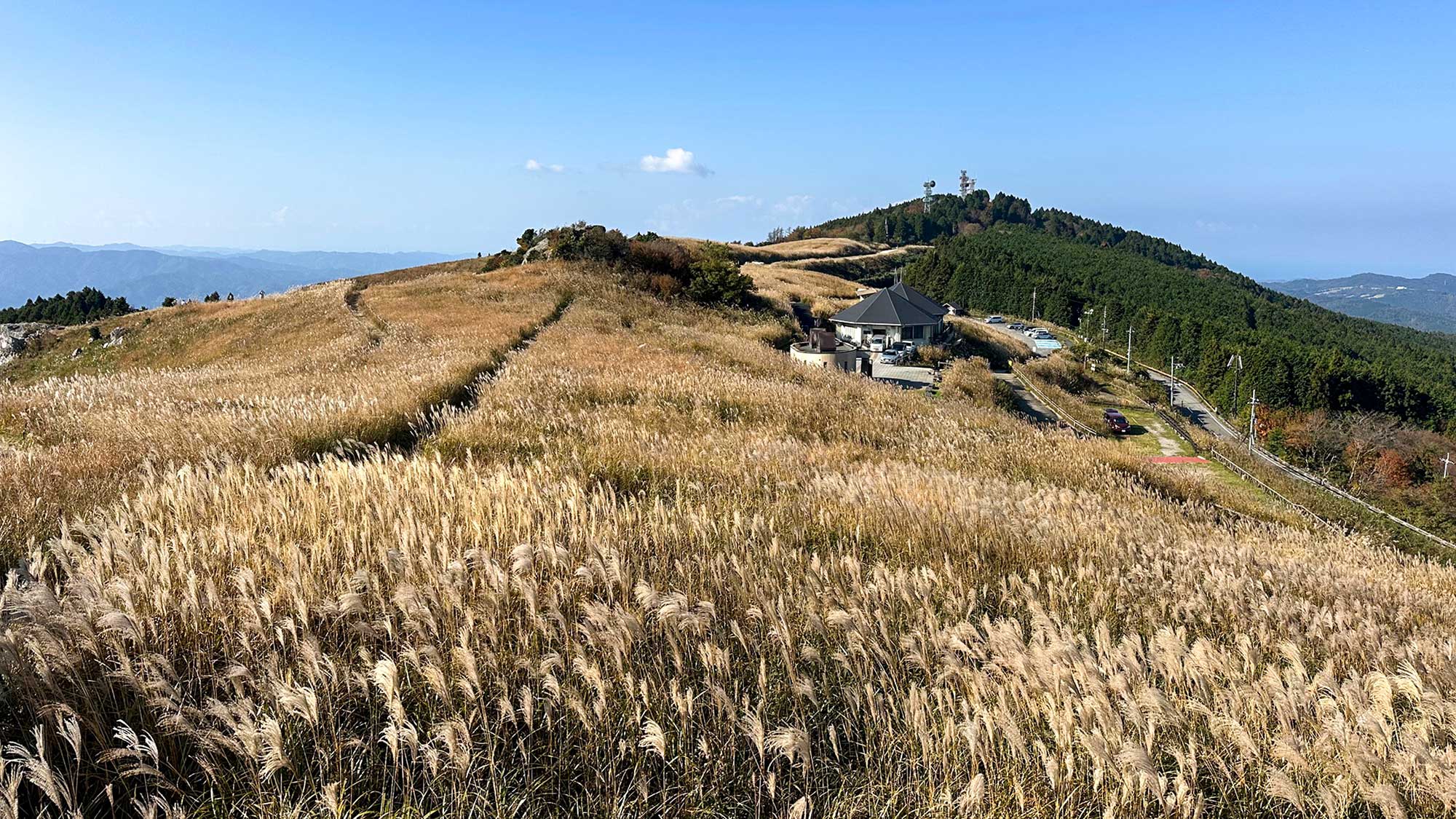 ・【生石高原】秋のススキの絶景が有名。「黄金色の絨毯」と称される壮大な景観が楽しめます