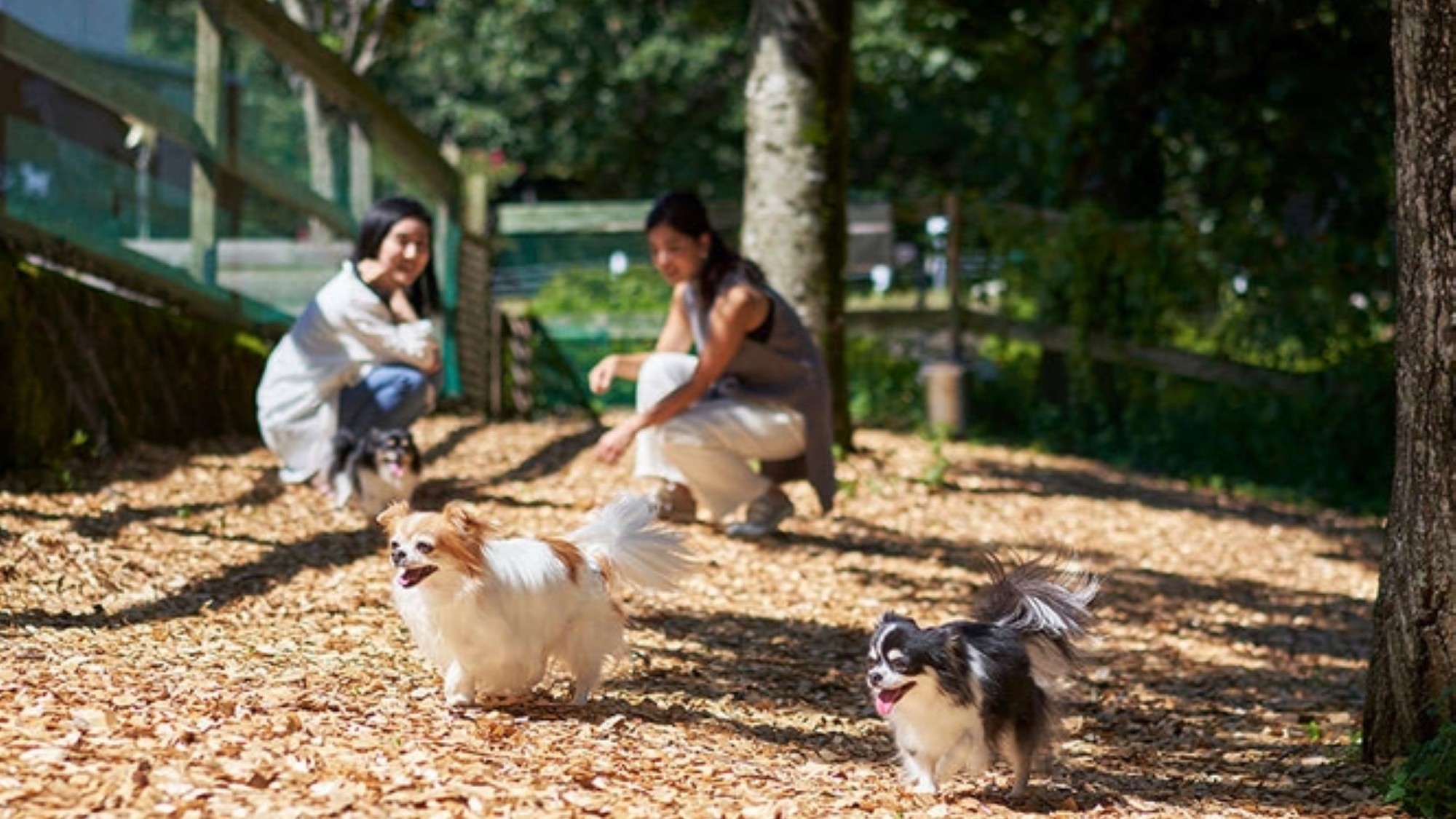 【スタンダードプラン】愛犬と過ごす、心やすらぐ那須の湯宿〜美食和会席料理〜【朝食付き】