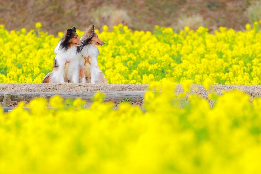 【早期割30】30日前のご予約で通常プランより最大10％OFF！！【朝食付き】