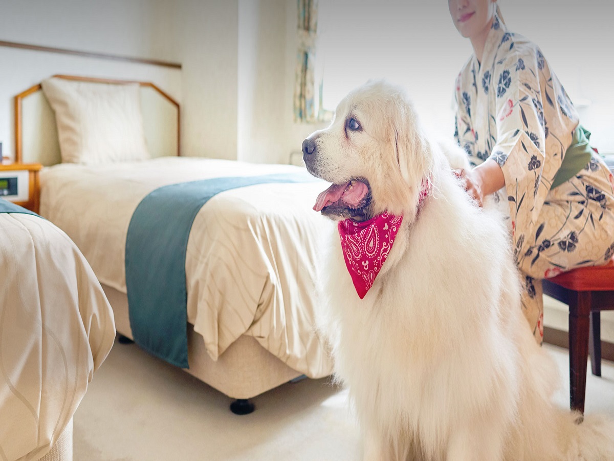 愛犬と客室でごゆっくり（イメージ）