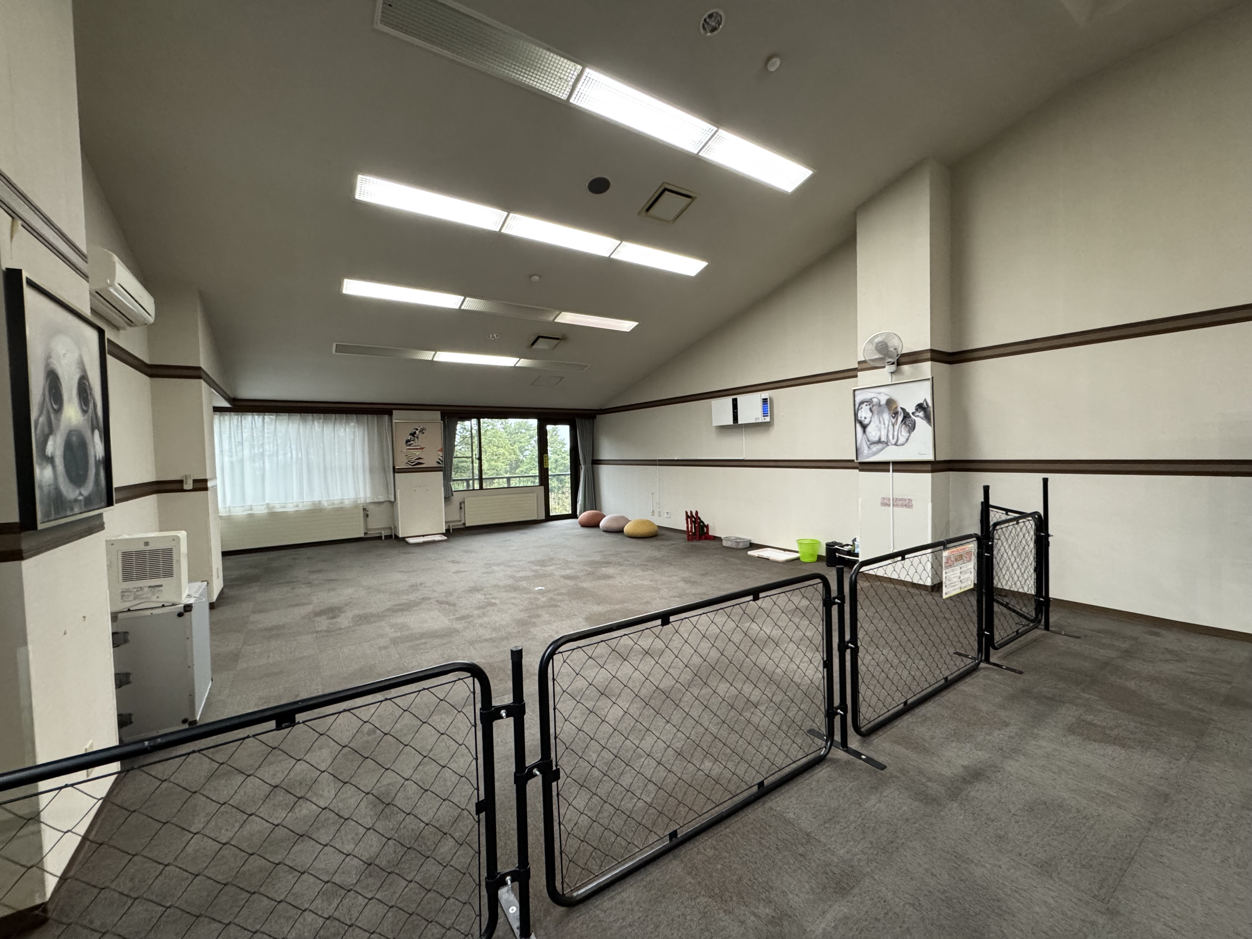 屋内ドッグラン