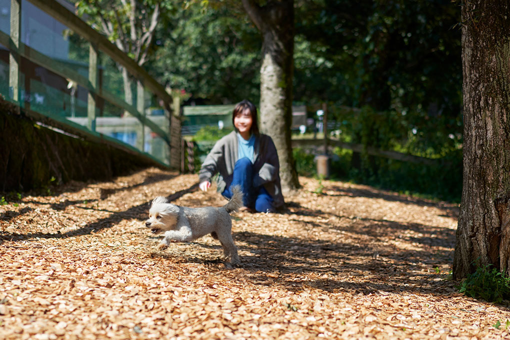 屋外ドッグラン（イメージ）