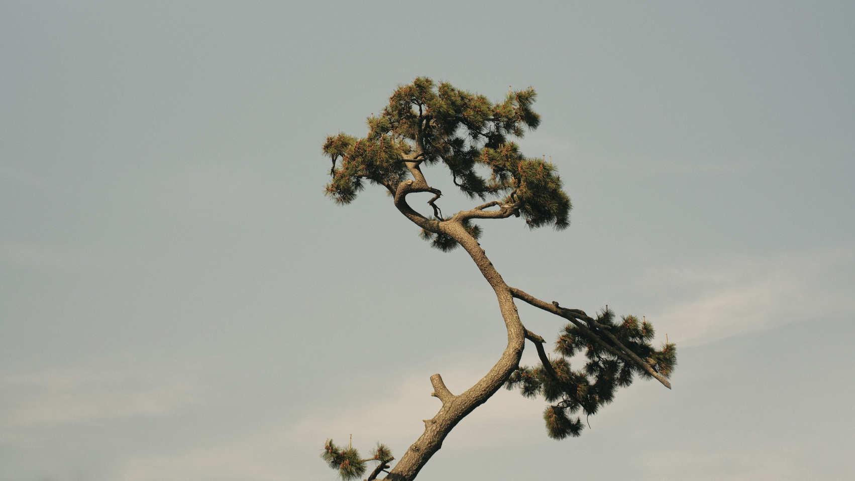 【2025年秋OPEN】Komado_素泊まりプラン