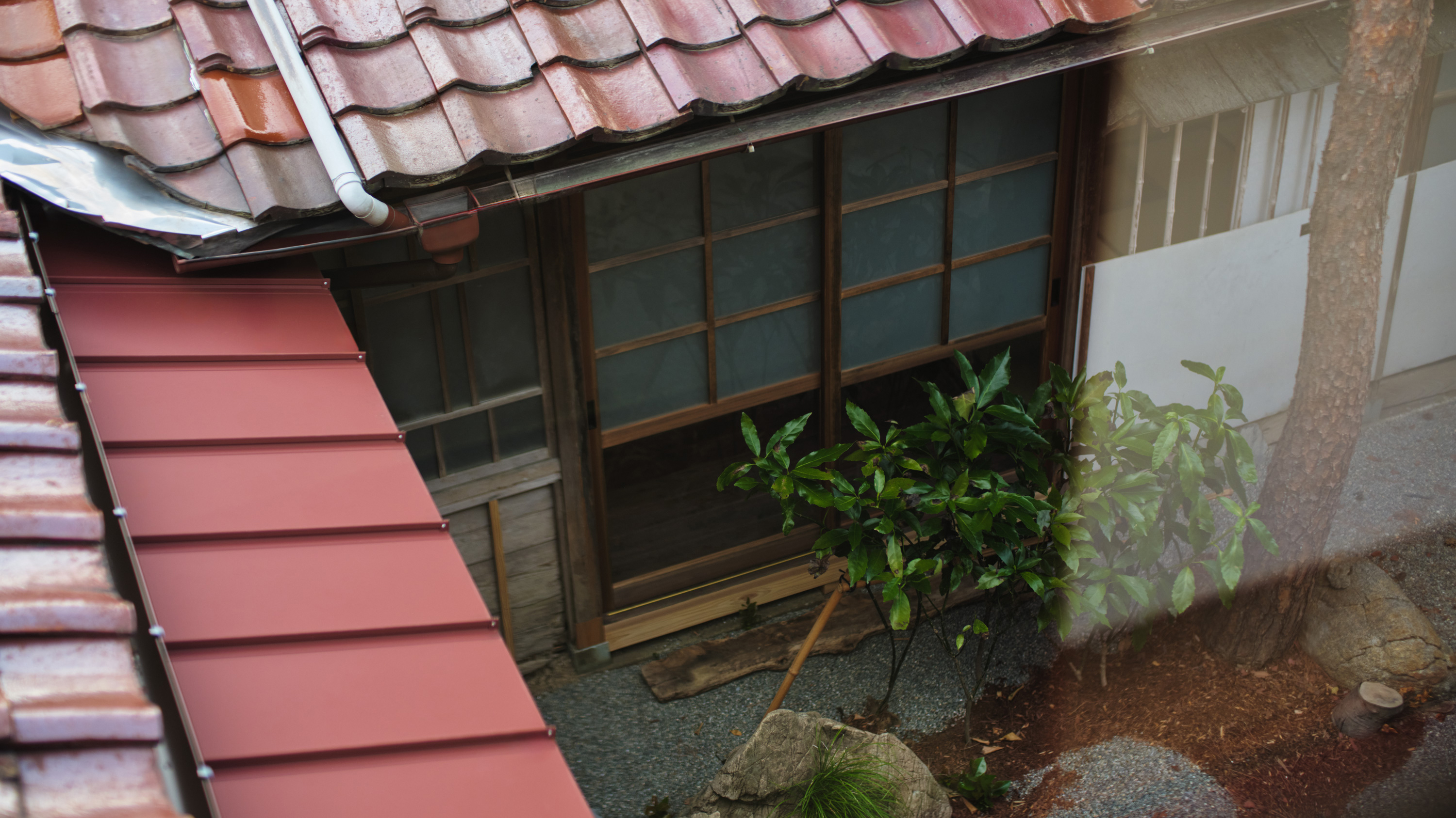 ベンガラスイートルーム05